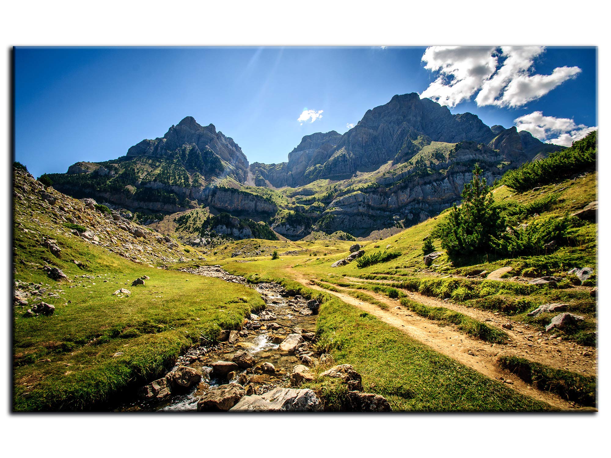 Declina, Quadro Decorativo da Parete per Soggiorno Moderno, cornici Decorative da Parete, Quadro Fotografico Deco Pena Tela, 50 x 30 cm, Canvas, 80x50 cm