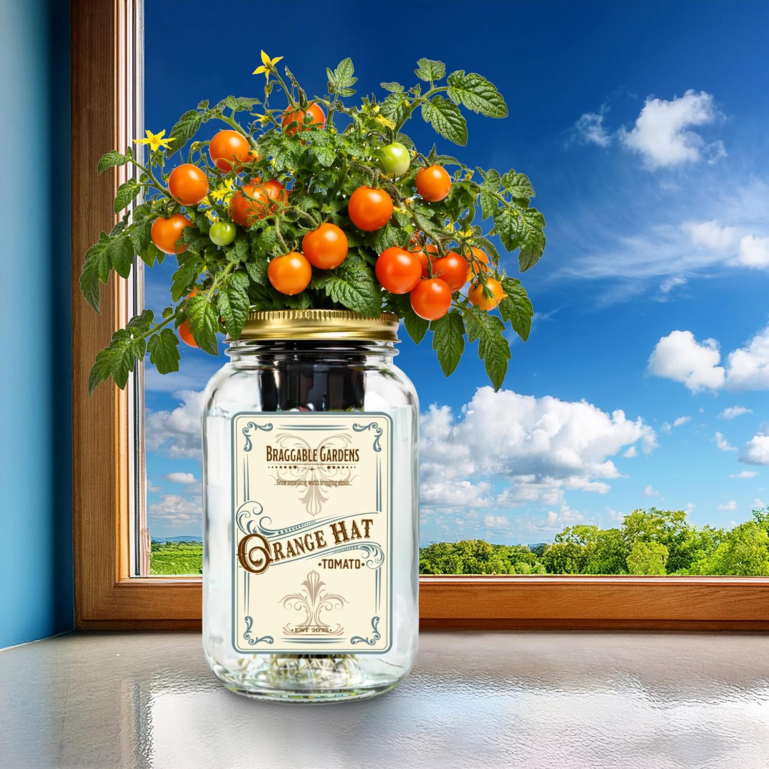 Braggable Gardens Orange Hat Micro Tomato Indoor Garden Kit – Mason Jar Hydroponic Tomato Grow Kit – Windowsill Countertop Tomato Planter – Grow Orange Cherry Tomatoes Indoors