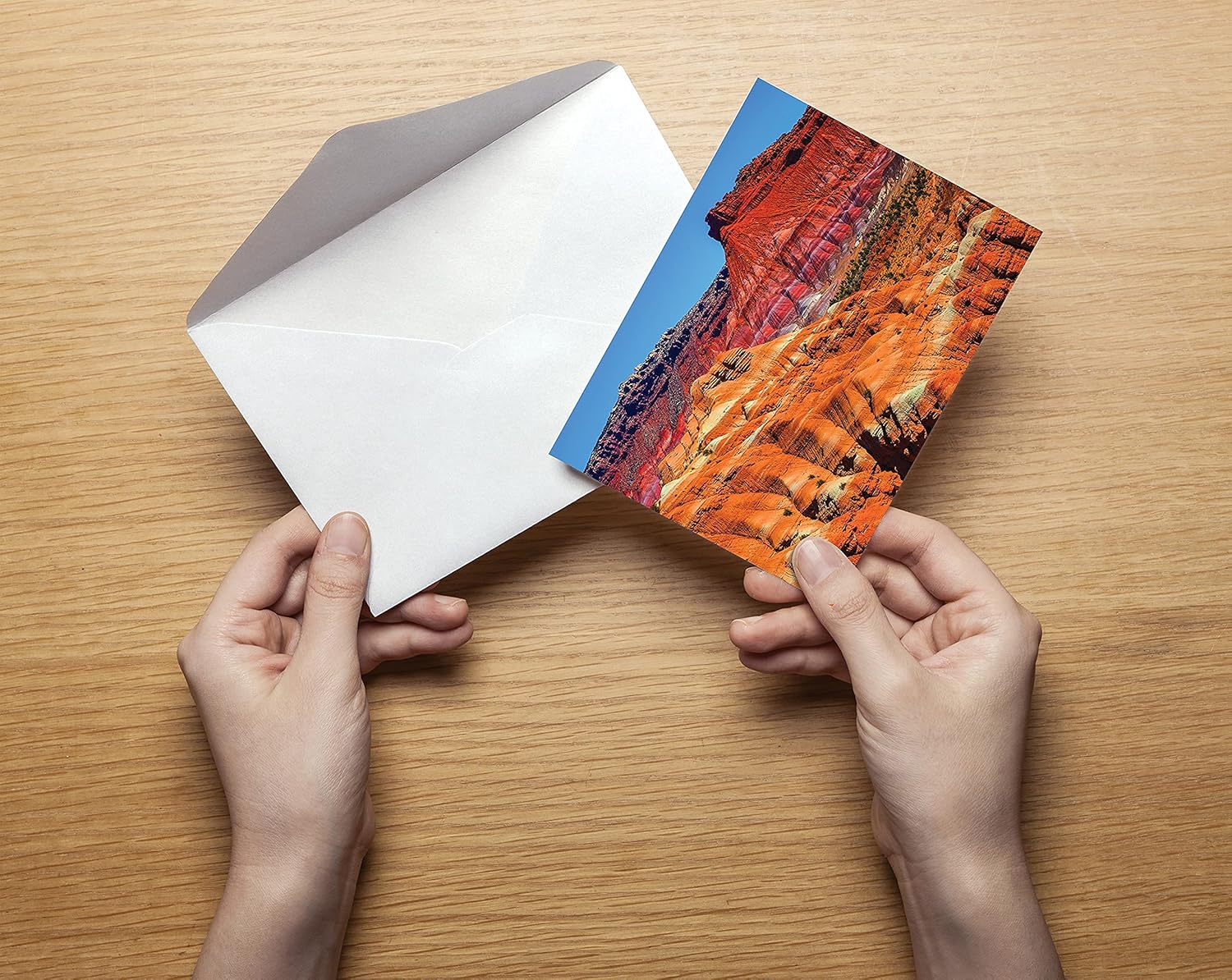 50-Pack All Occasion Greeting Cards Box Set, 4 x 6 inch, 50 Assorted Blank Note Cards & 50 Envelopes, 6 Nature Photography Americana Designs, Blank Inside, by Better Office Products, 50 Pack : Office Products