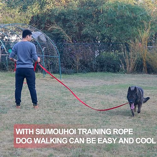 Miniatura 5 de Dog/Puppy Obedience Recall Training Agility Lead - 15ft 20ft 30ft 40ft 50ft Training Leash - Great for Play, Camping, or Backyard - Red 20ft