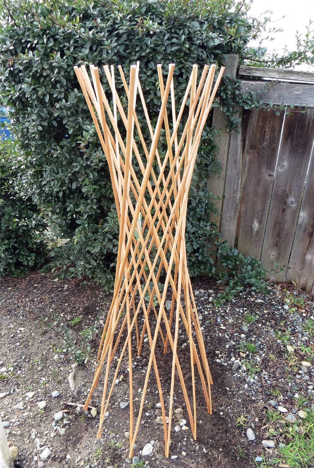 MGP Carbonized Skinless Willow Funnel Trellis 72" H