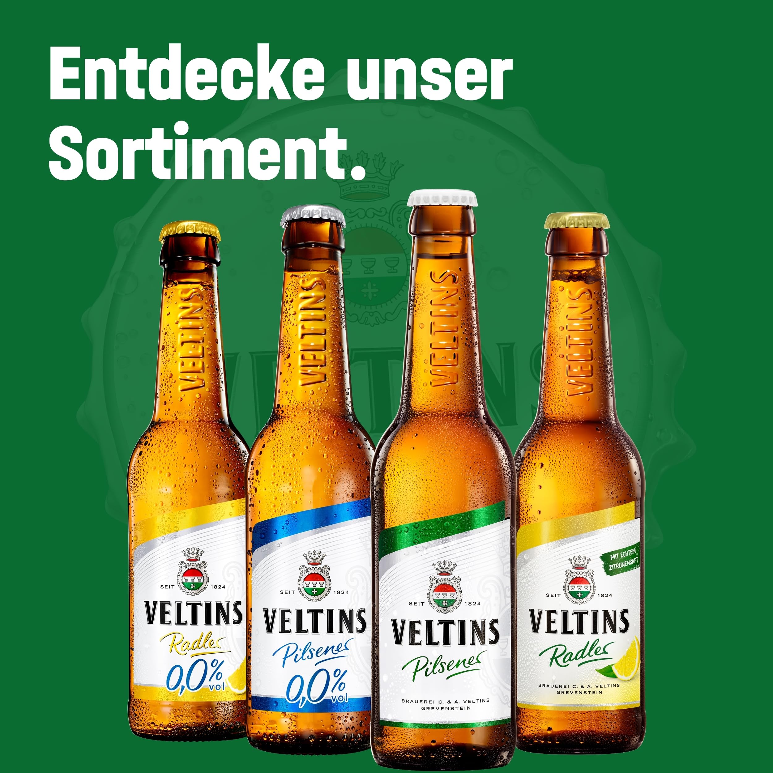 VELTINS Pilsener – 24 x 0,5 l Dosenbier (EINWEG) – Fein-herbes Premium Pils – Brautradition seit 1824 – Frisch & ausgewogen – 4,8 % vol. Alkohol