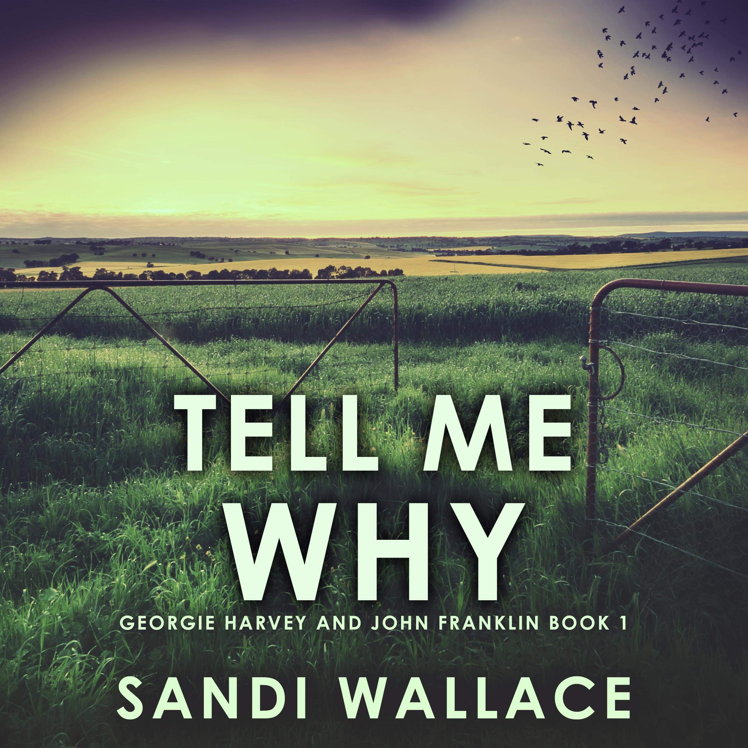 Cover art for Tell Me Why