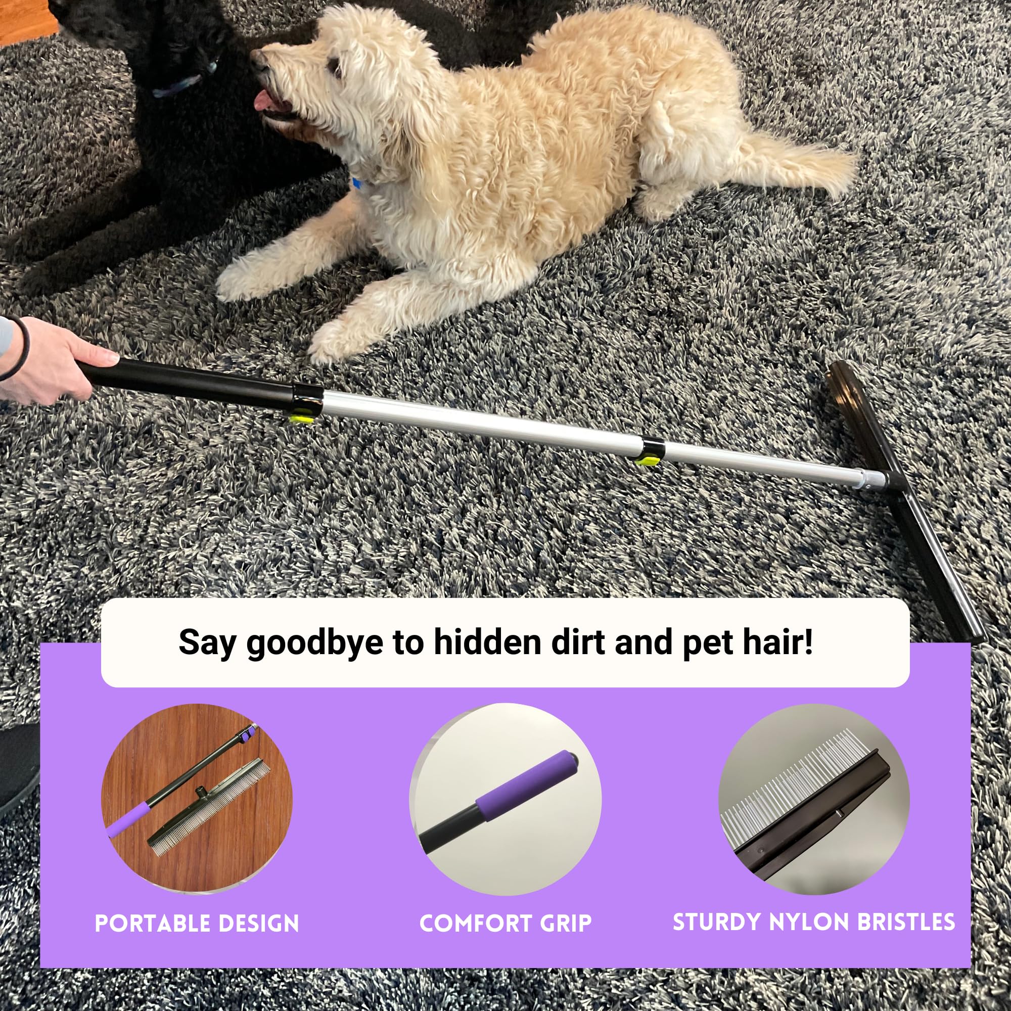 Room Groom - Rastrillo y Peluquero de Pet con Mango telescópico Ajustable de 54 Pulgadas, diseño portátil, Cepillo de Alfombra Ideal para Pelo de Animales, alfombras refrescantes, alfombras y césped
