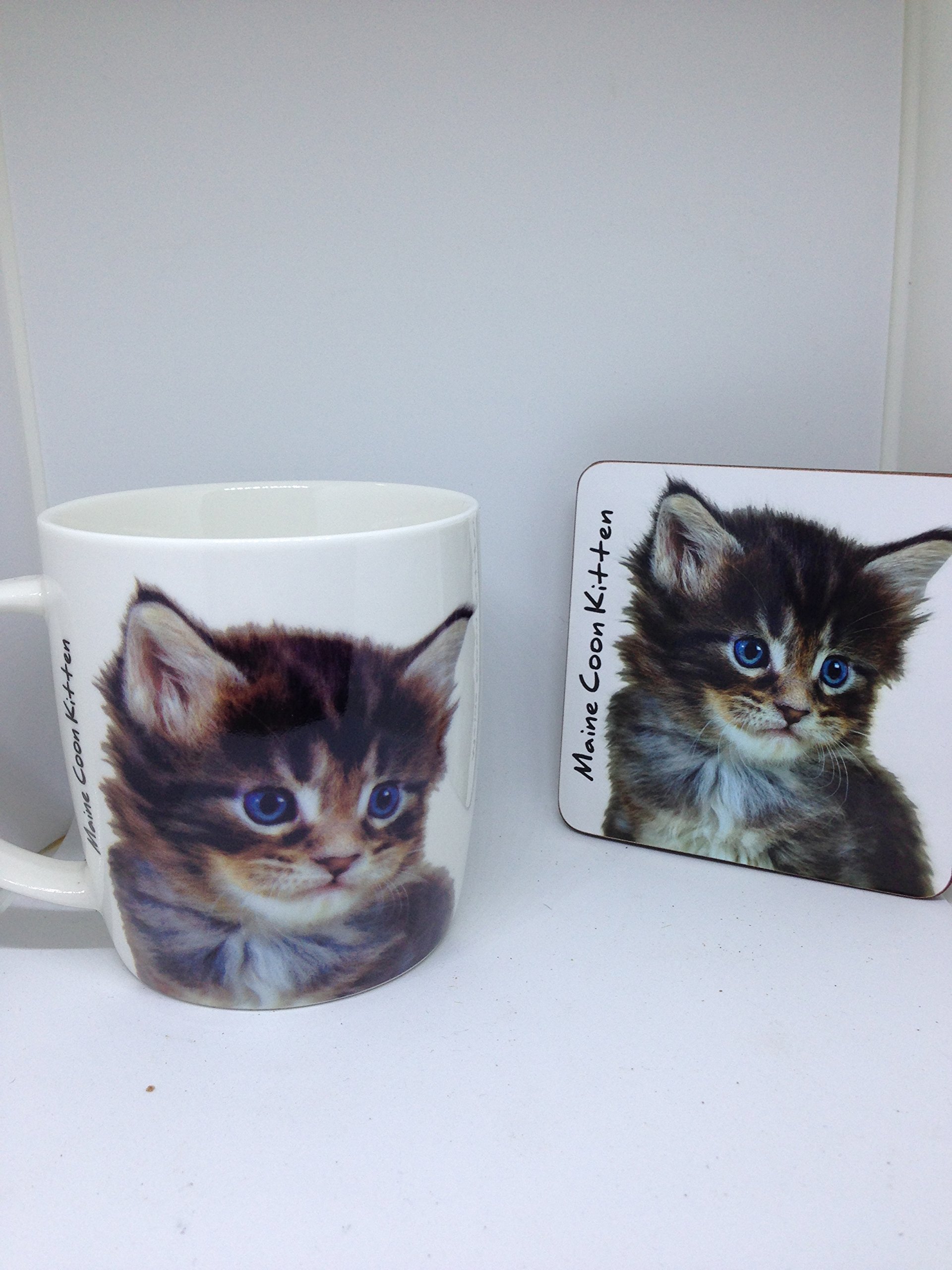 Maine Coon Kitten Mug and coaster set
