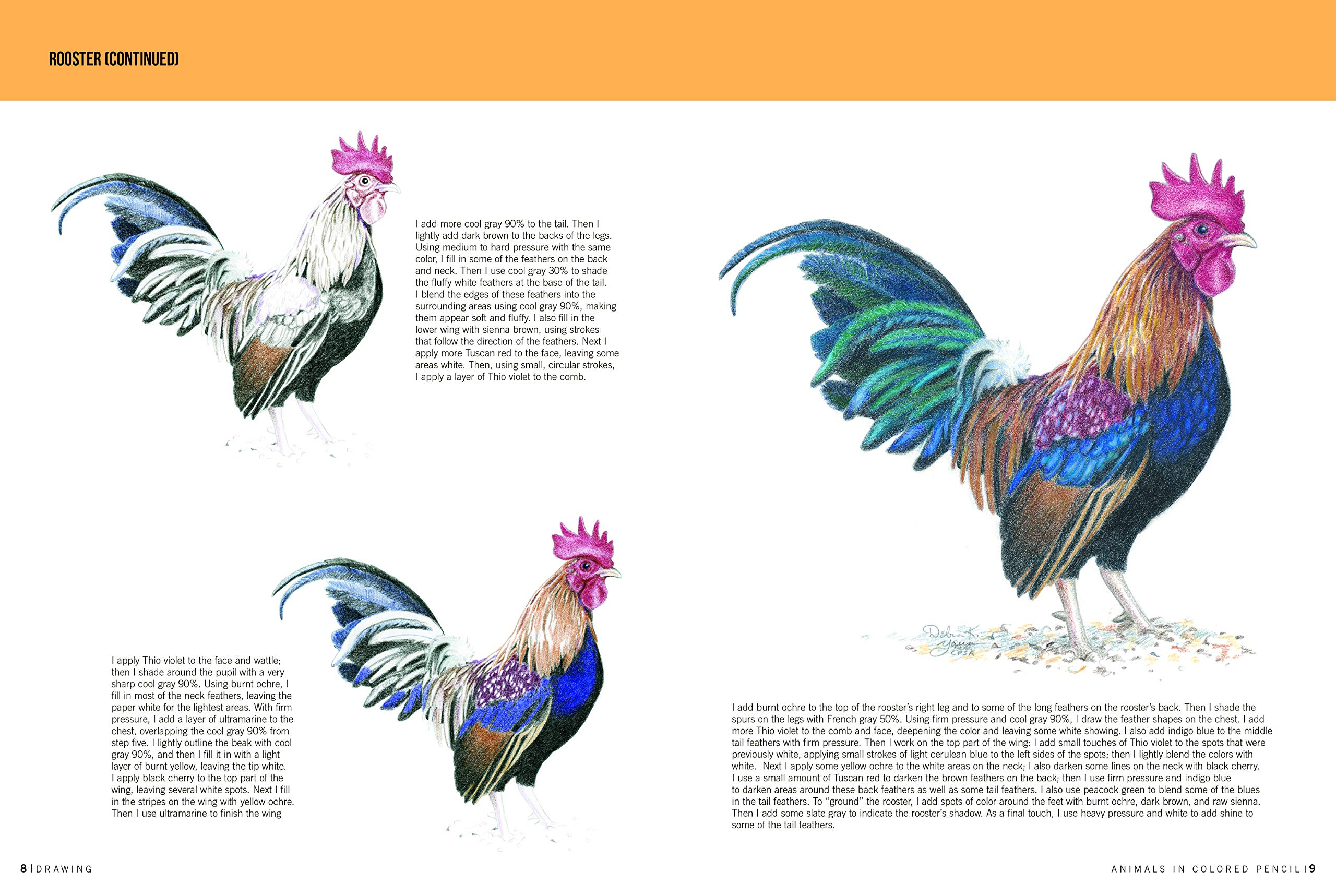 Drawing: Animals in Colored Pencil: Learn to Draw with Colored Pencil Step by Step
