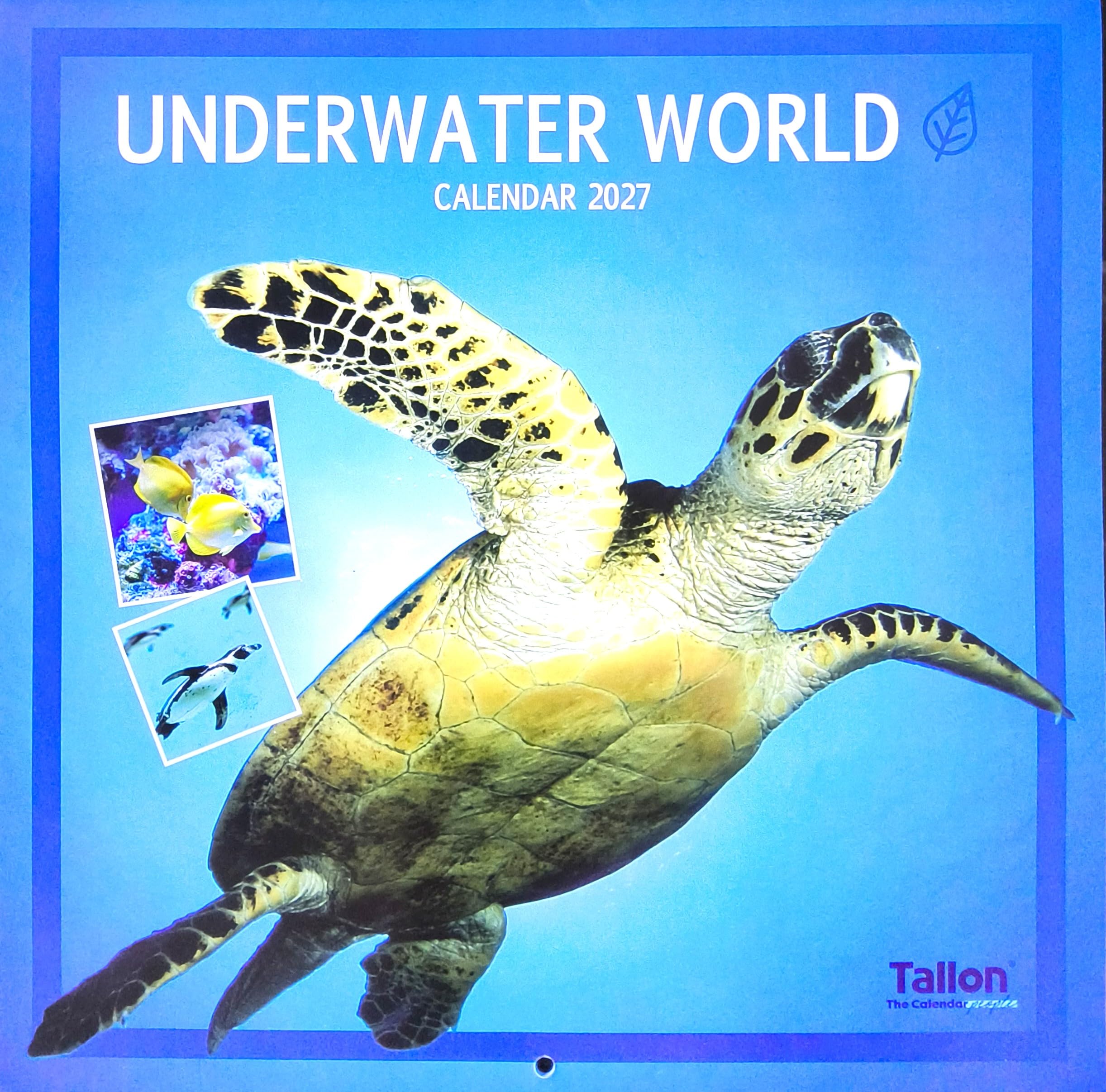 2027 Underwater World Square Wall Calendar Sea Ocean Wildlife Water Marine
