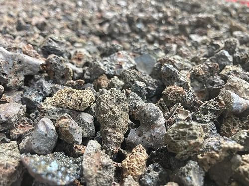 RUKDA® Natural Lava Rock Gravel 900g - Porous Volcanic Stone Aquarium Substrate & Fish Tank| Black Eco Filter Media, Plant Drainage Rocks for Bonsai, Succulents, Terrarium & Garden Gravel (0.5–2 cm)