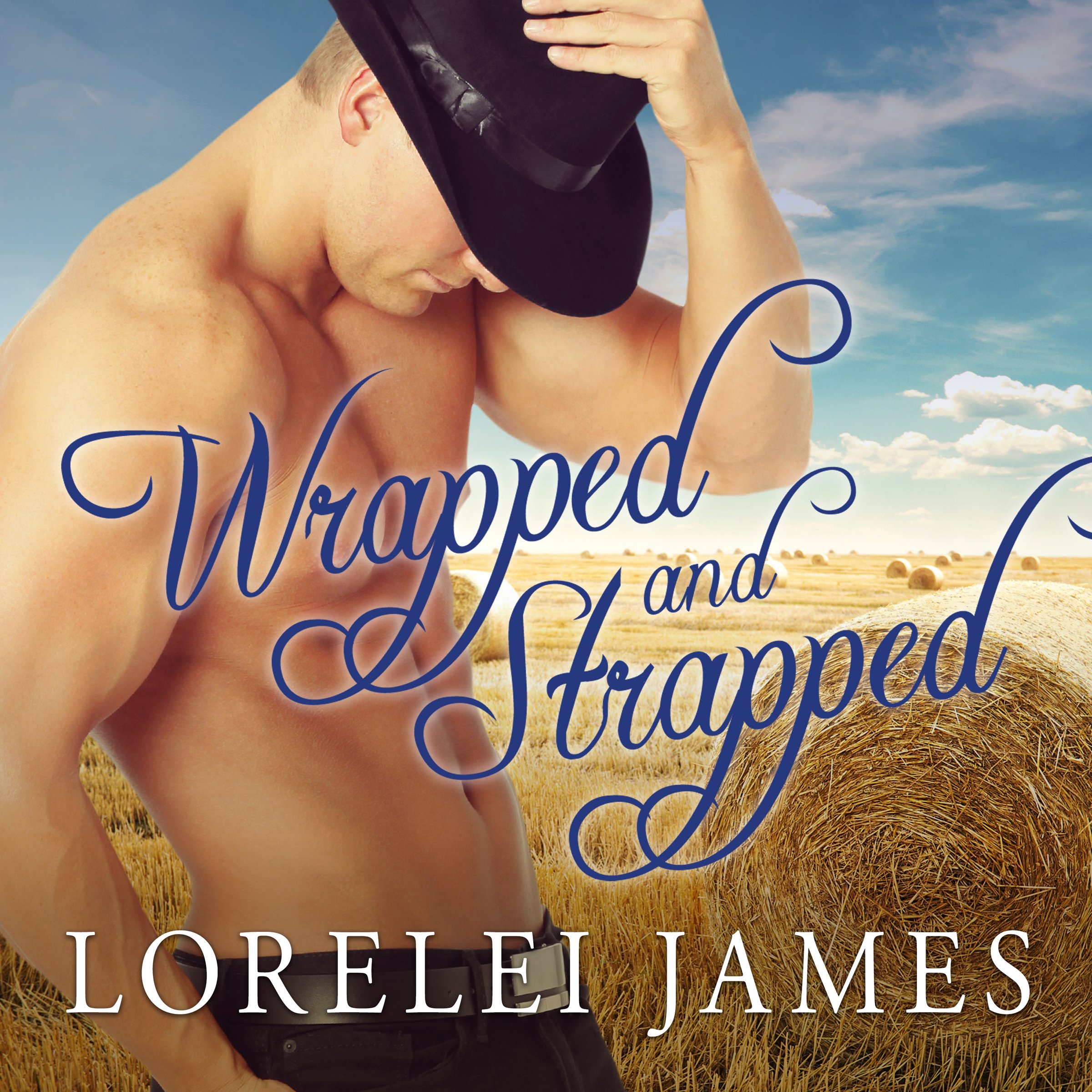 Cover art for Wrapped and Strapped