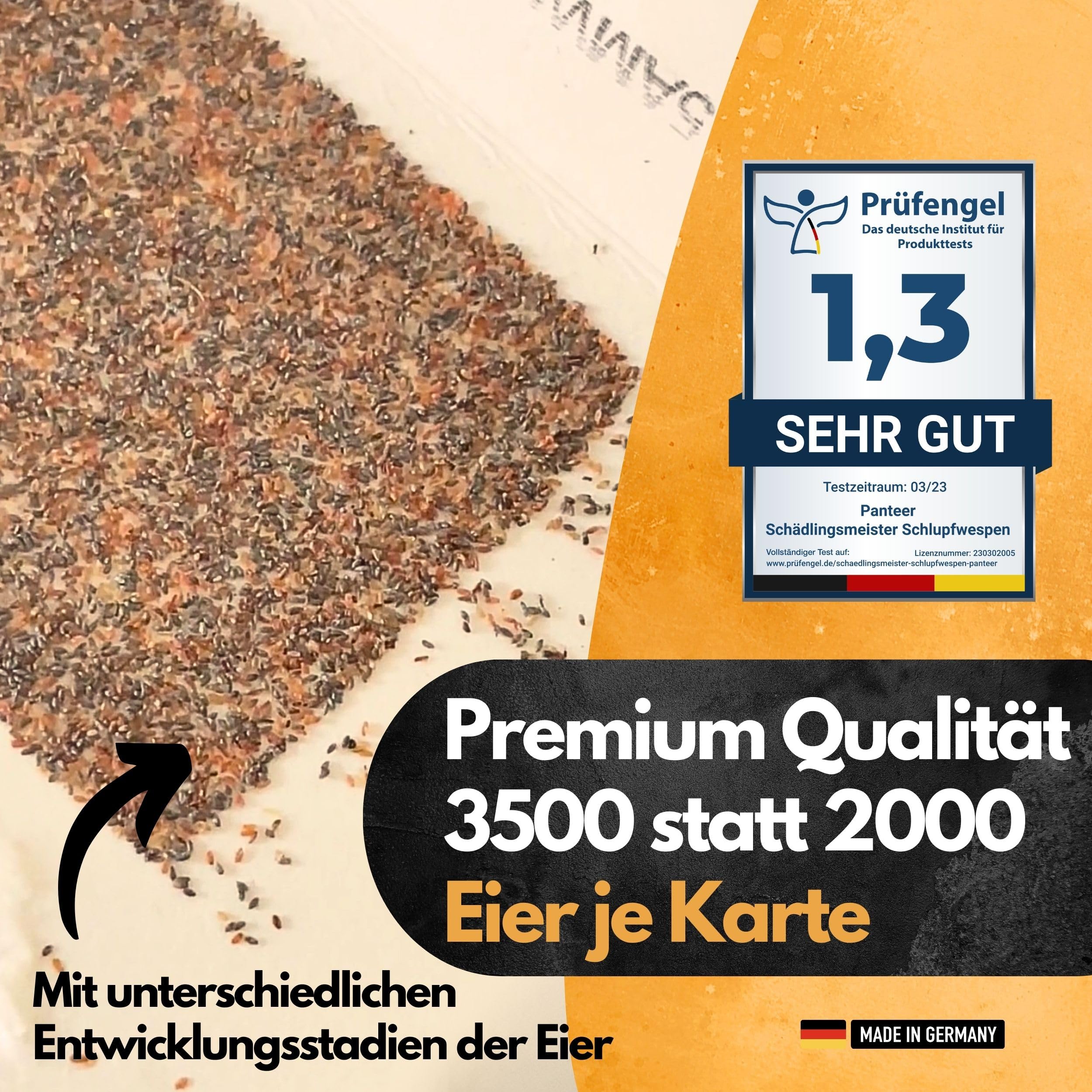Panteer ® Schlupfwespen gegen Lebensmittelmotten + GRATIS Mottenfalle (8 Karten, 4 Lieferungen) - Schlupfwespen, Schlupfwespen Lebensmittelmotte, Mottenfalle Lebensmittel, Schlupfwespen gegen Motten