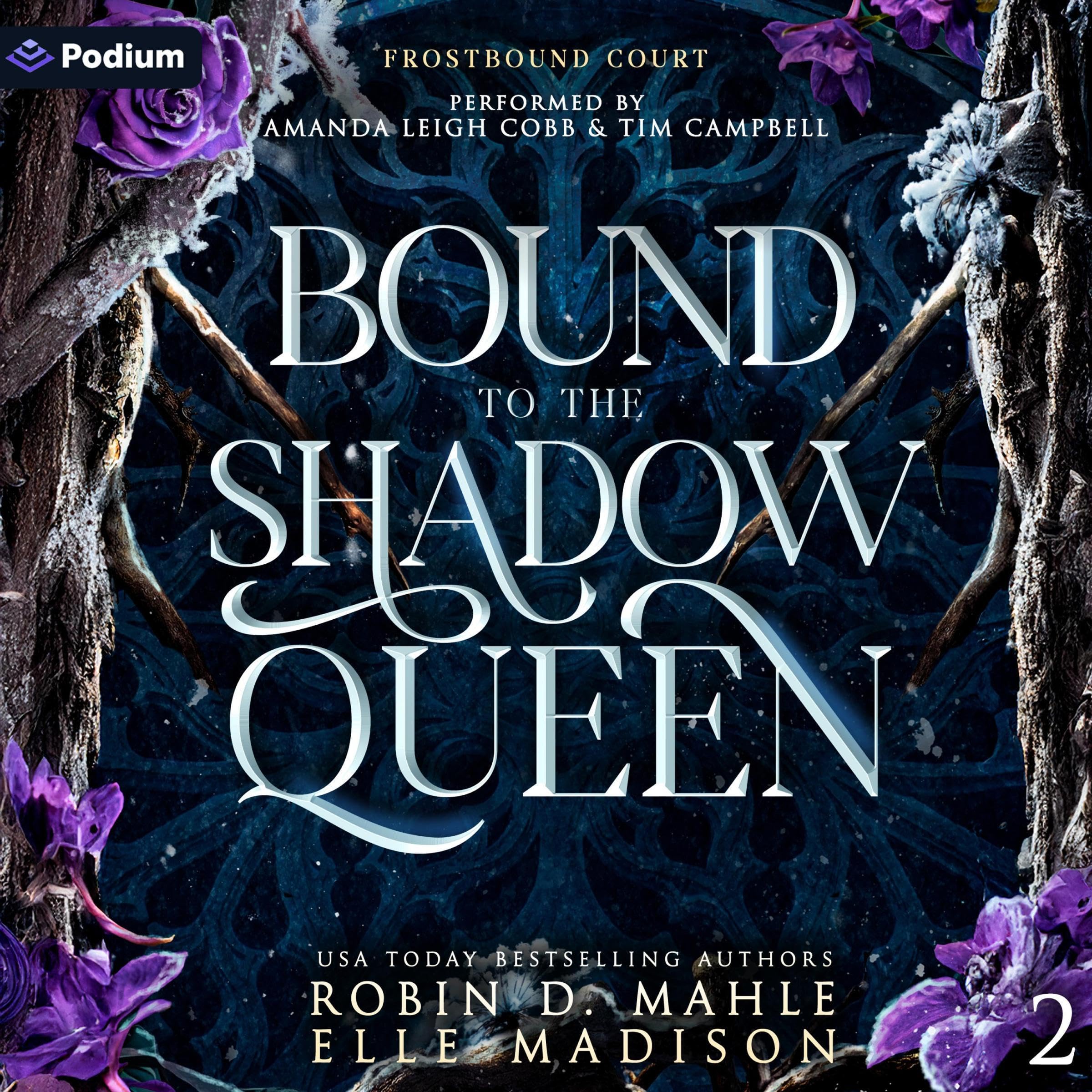 Cover art for Bound to the Shadow Queen