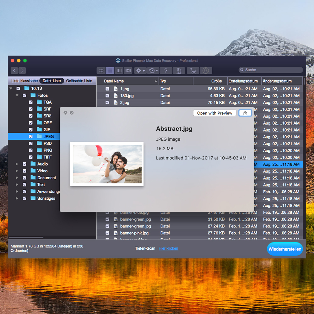 Stellar Phoenix Mac Data Recovery Professional [Download]