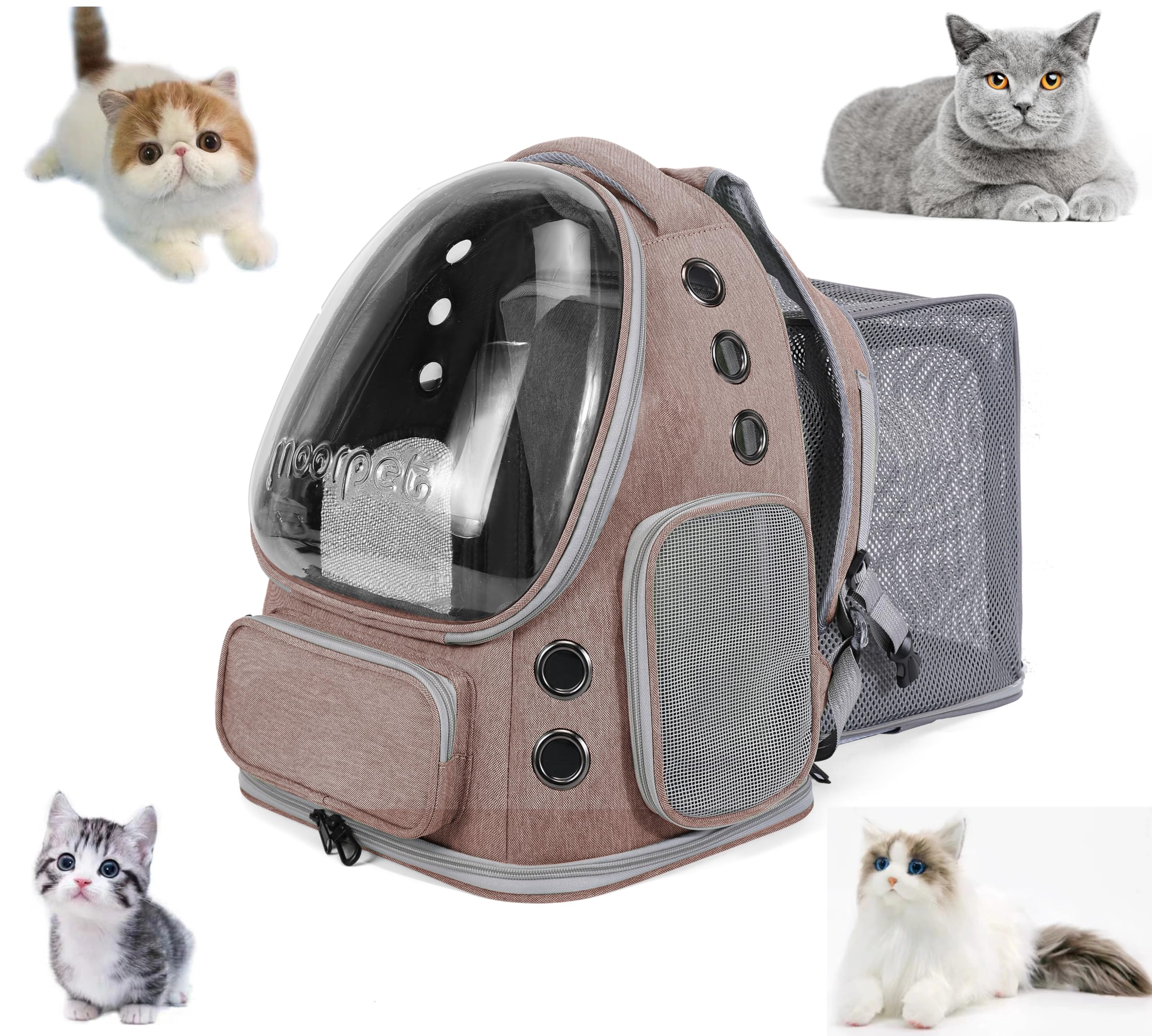 SOLAPOLLO Sac de transport pour chat, sac à dos de voyage extensible, portable et respirant avec grand espace pour une utilisation en extérieur (kaki)