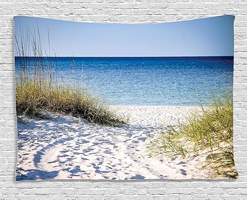 Ambesonne Tapiz de playa, camino a la playa, cielo despejado, arbustos, pastos, ventoso, día soleado, pacífico golfo de México, para colgar en la