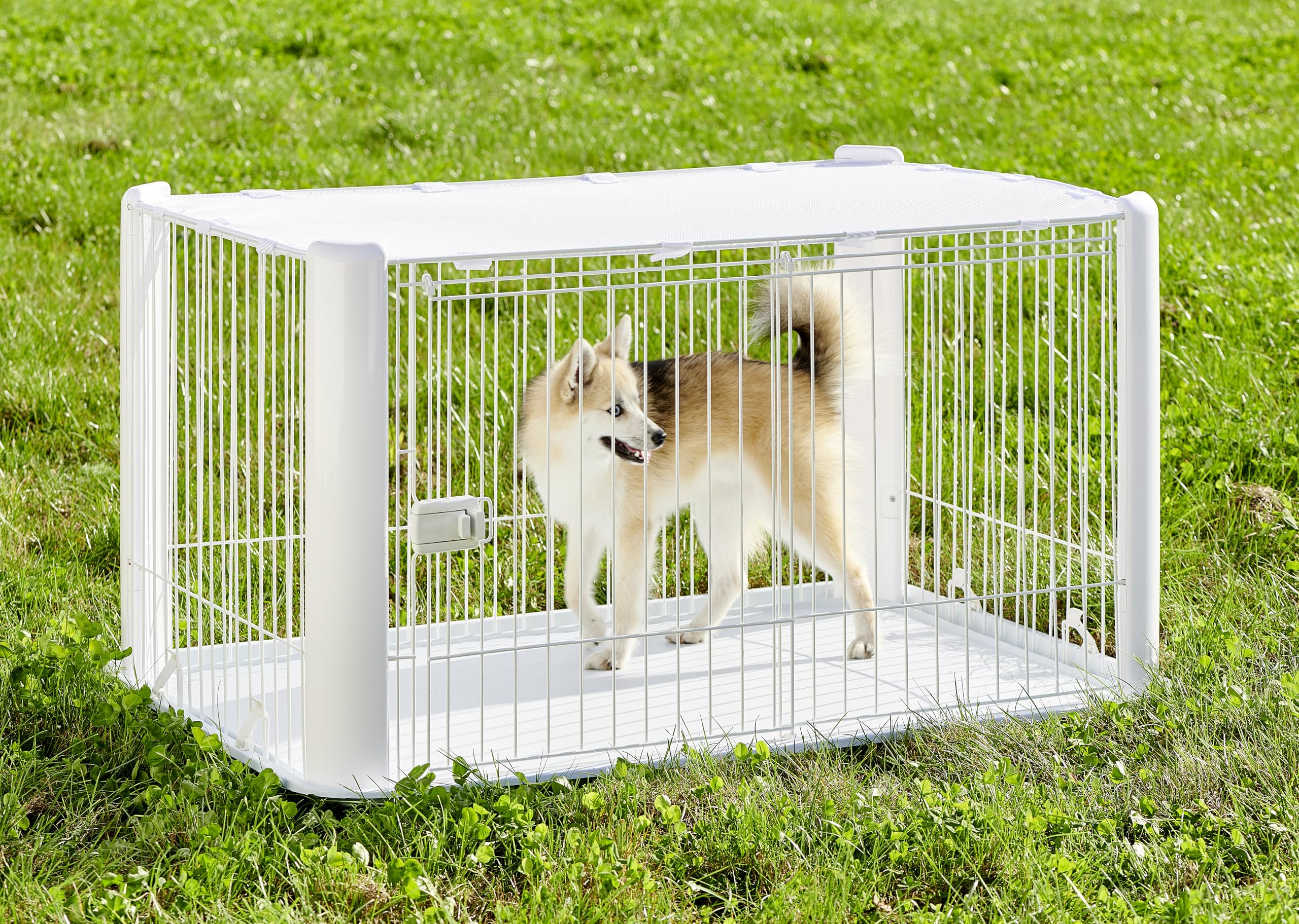 Iris Ohyama Jaula para Perros con Puerta y Cerradura H60cm Blanco Techo Desmontable CLS-1130
