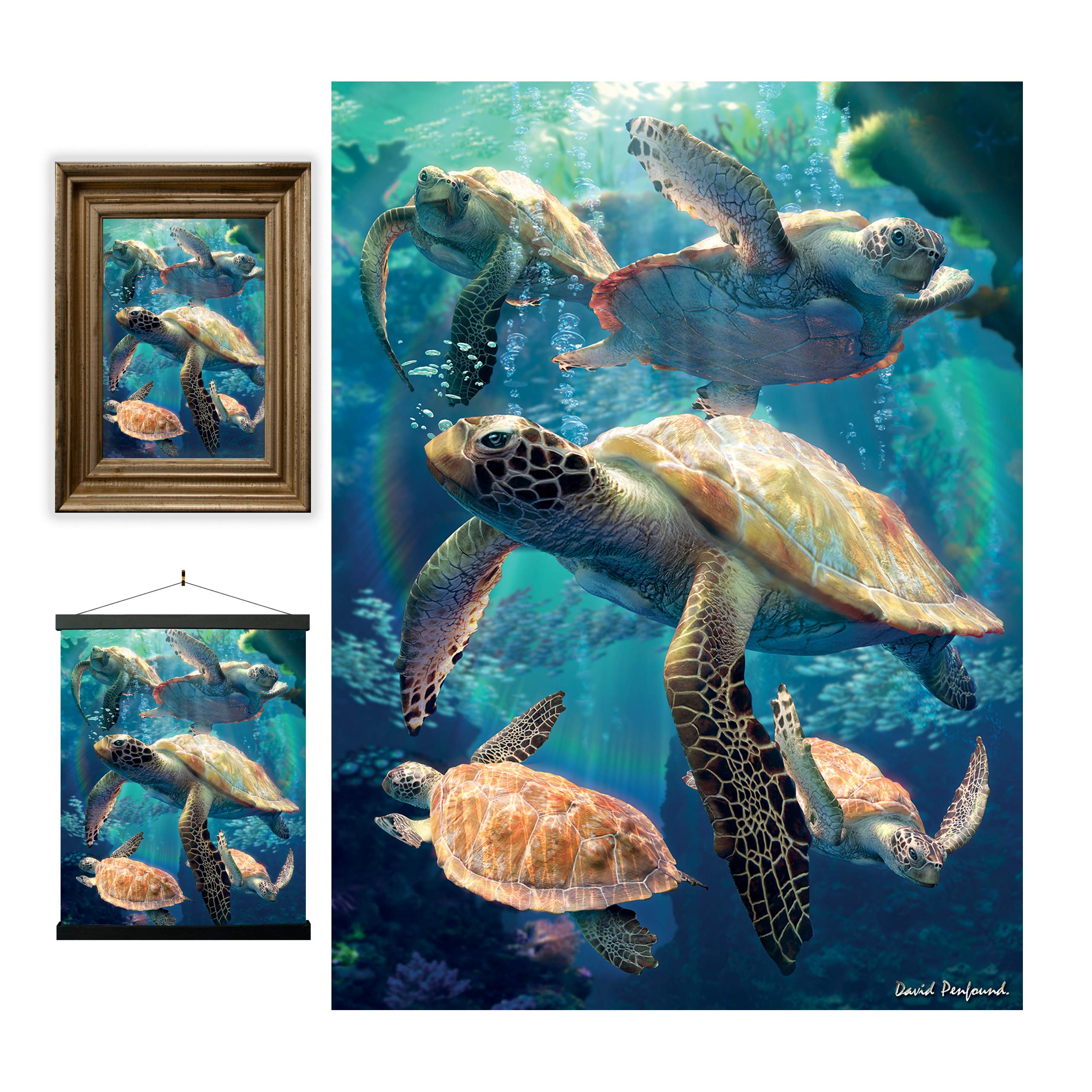 Buy 3D LiveLife Lenticular Wall Art Prints Sea Turtle Swim from