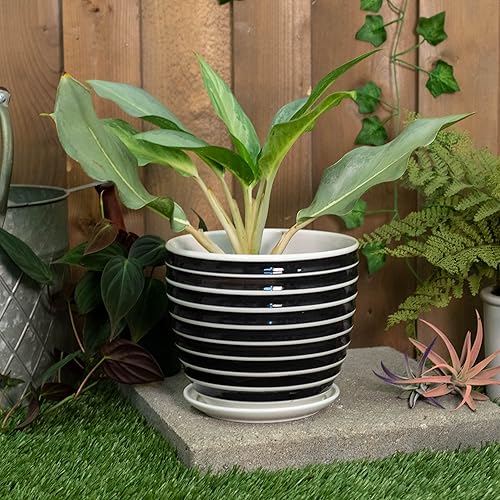 Miniatura 5 de Napco Maceta de cerámica acanalada a rayas en blanco y negro de 5.5 x 6 pulgadas con platillo