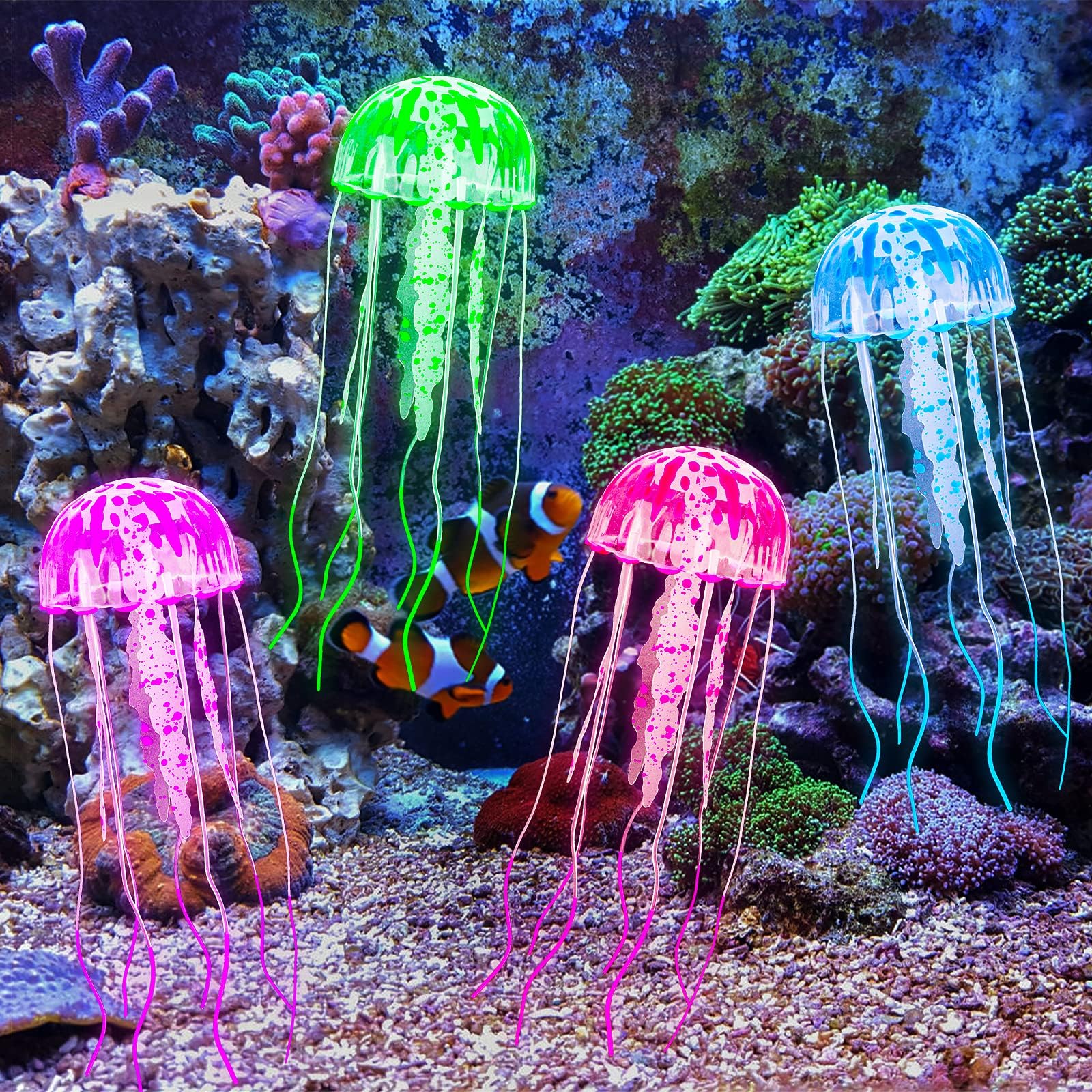 Nobby  Aqua Ornaments 