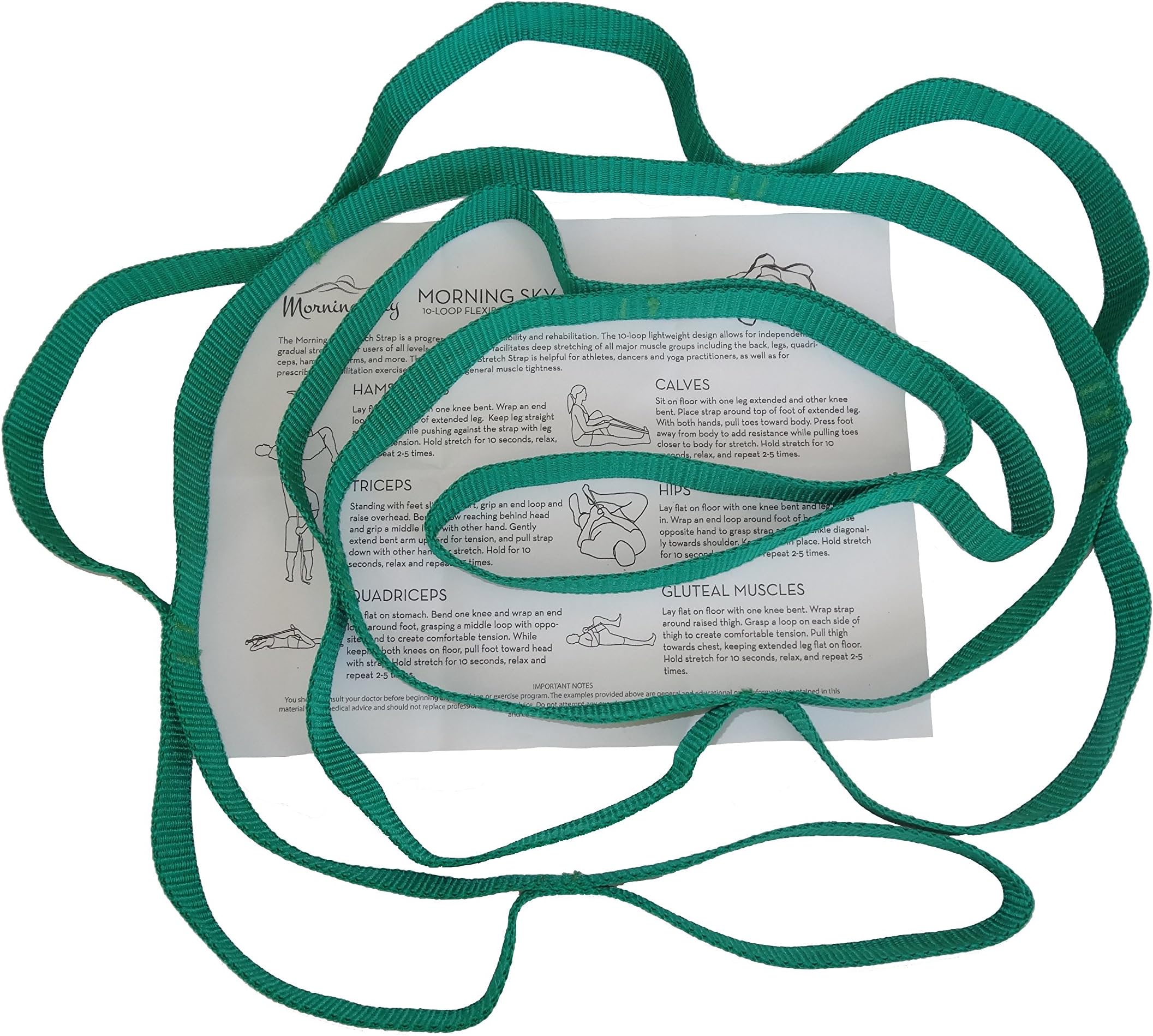 Physical Therapy Stretch Strap by Morning Sky - 10-Loop 73-inch Rehab Strap with Instructional Guide for Rehab, Stretching, Yoga.