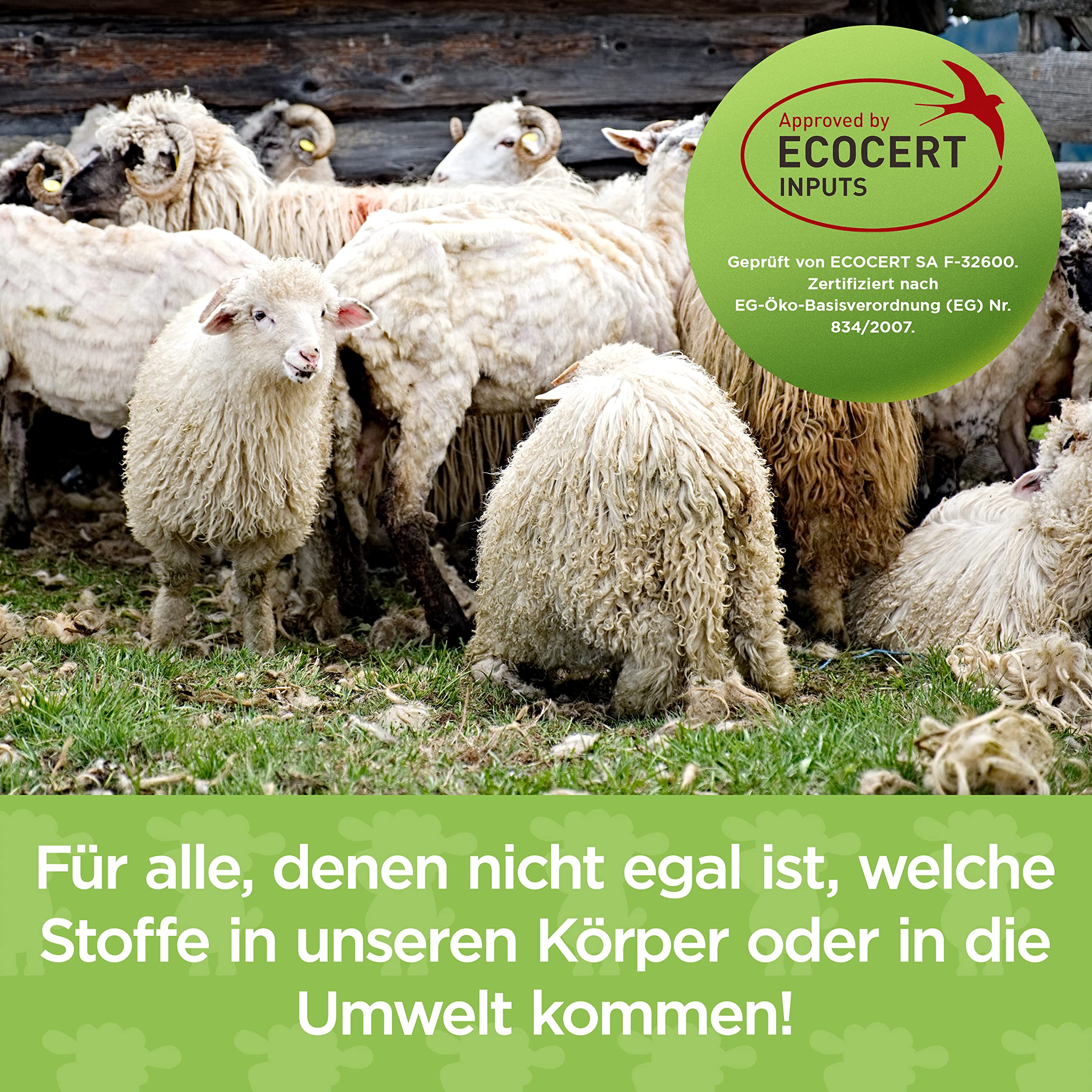 NAKED SHEEP Bio Universal Langzeitdünger aus Schafwolle, 5 kg organischer Dünger für Zimmerpflanzen, Tomaten, Gemüse und Gartenpflanzen - Bodenaktivator und Wasserspeicher