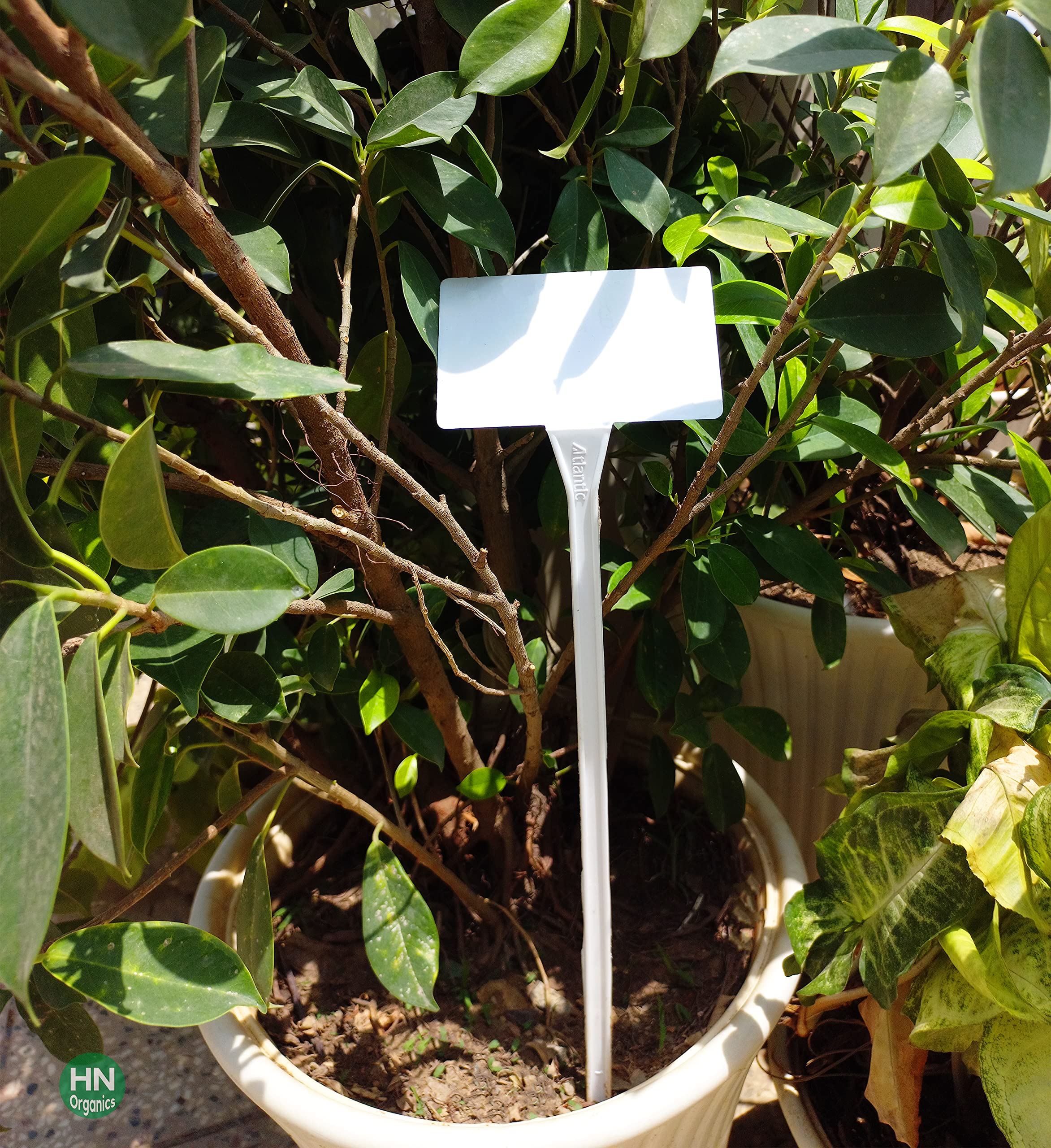 HN Organics Gardening Plant Name Tag - Set of 10 Plant Markers | T-Type Big White Plant Tags for Nursery Plant Garden | PP Plastic | Reusable Plan Tags for Gardening | Writtable Plant Tags (B0CDQLGZ1T) Amazon Price History, Amazon Price Tracker