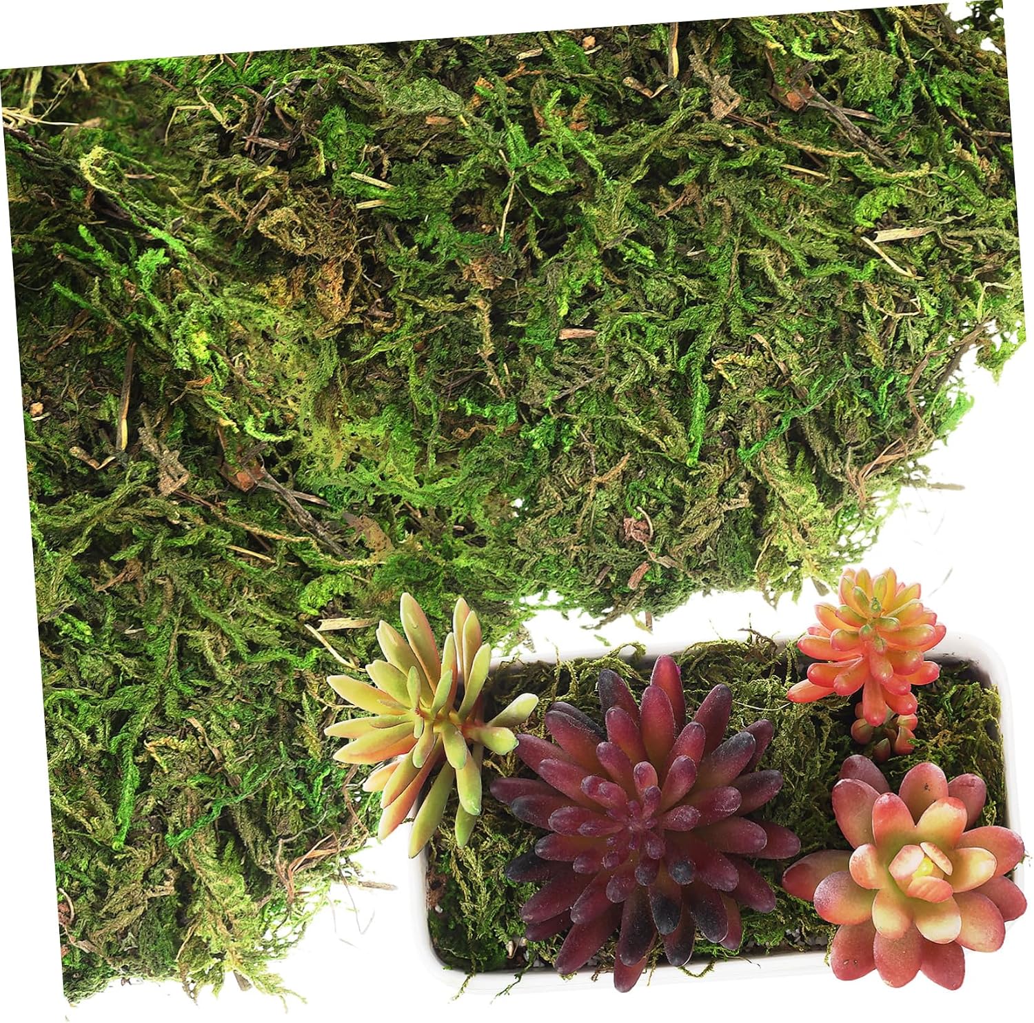 PRETYZOOM Artificial Decorative Moss for Crafts Quality Faux Greenery for Home Decor Projects Wedding Centerpieces and Indoor Plants
