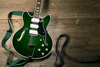 Amazon | VOX ヴォックス エレクトリック・セミホロー・ギター Amazon | VOX ヴォックス エレクトリック・セミホロー・ギター