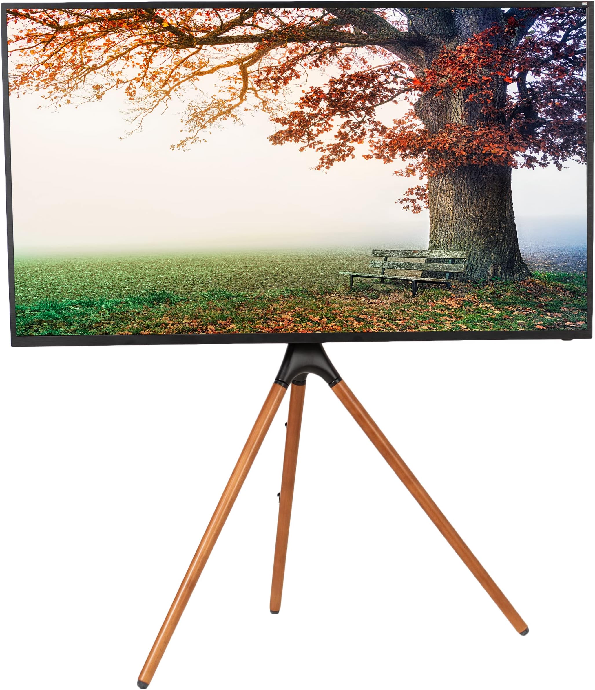 Vivo Easel Stand, Wood, Black, One Size
