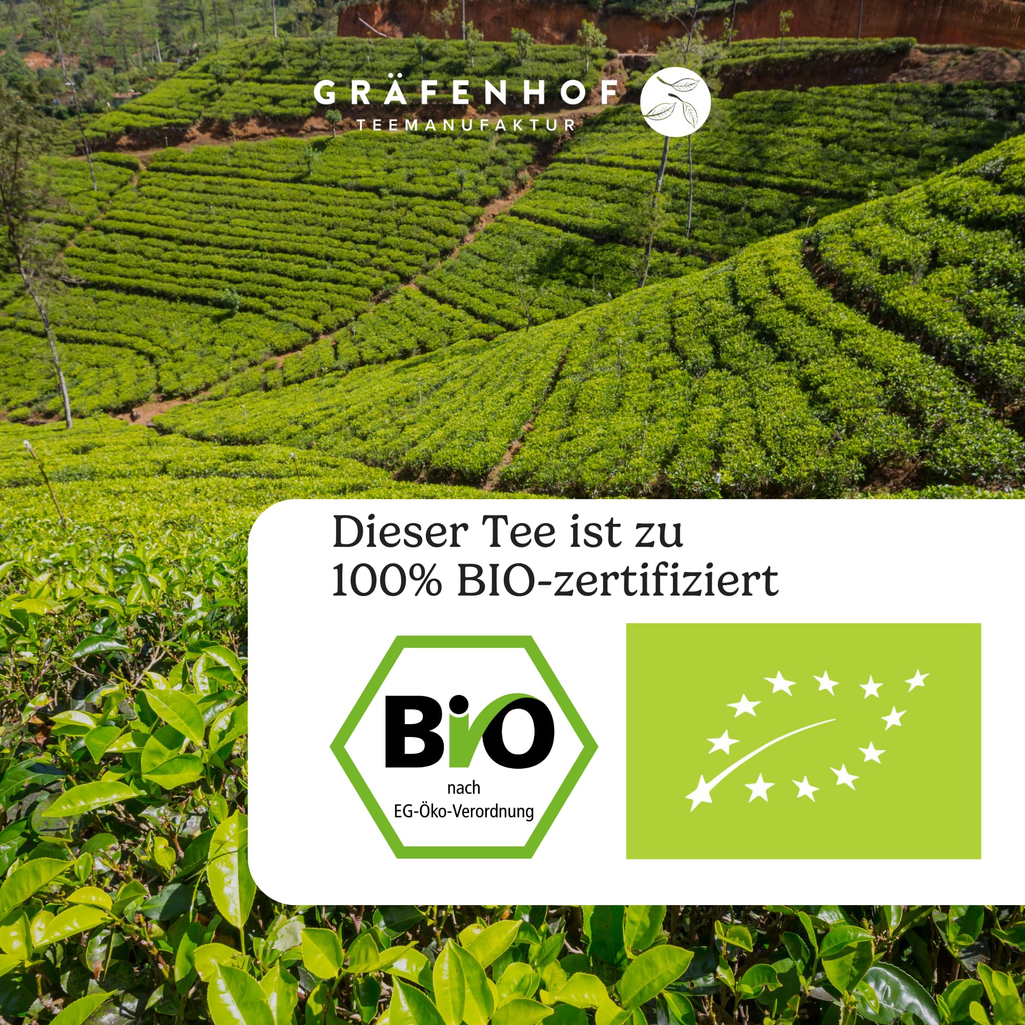 Rooibos Vanille Bio Tee, 100g cremig süß, lose, mit echten Vanilleschoten, zu 100% rein und geprüft, aus kontrolliert biologischem Anbau, ohne Koffein, Premium Gräfenhof Tee