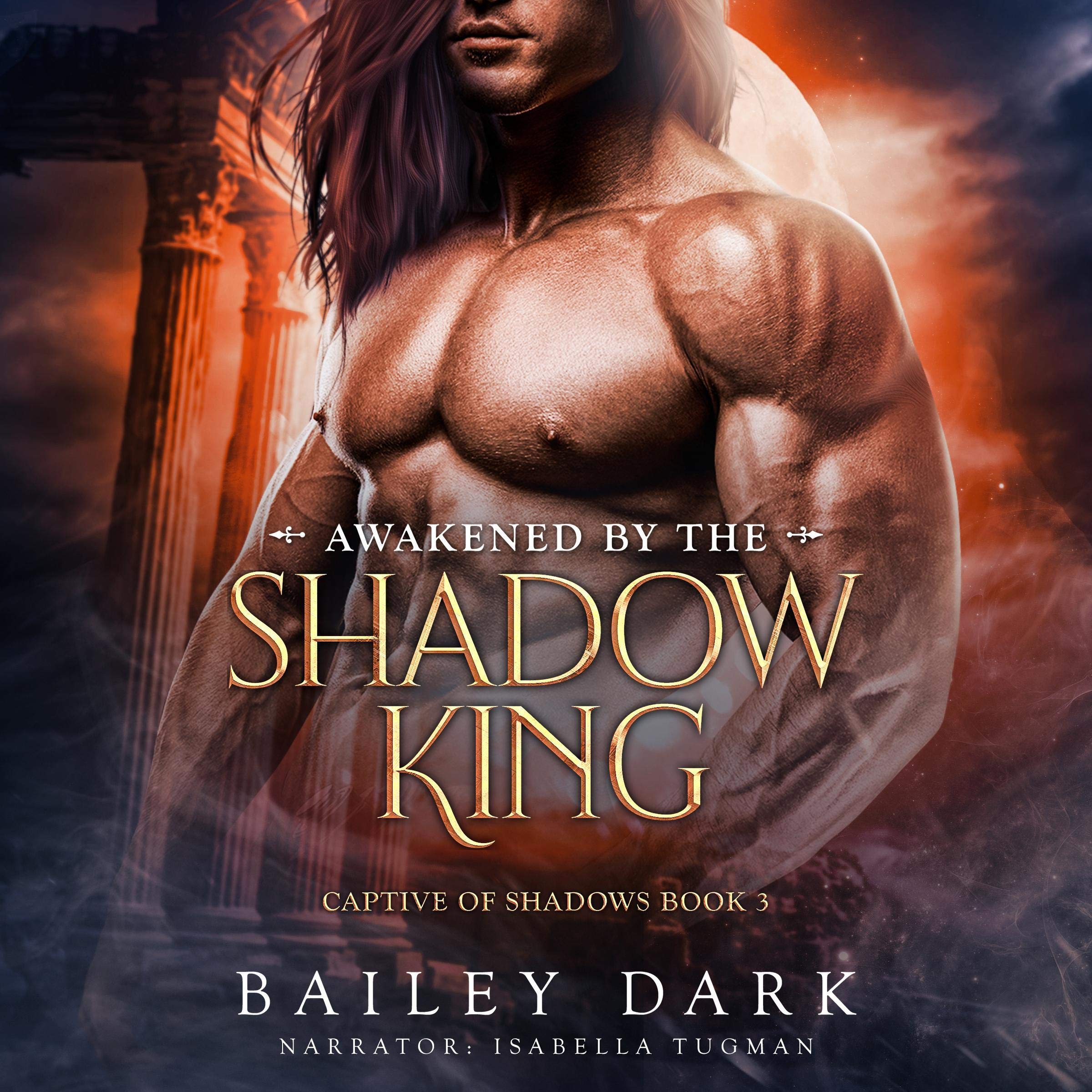Cover art for Awakened by the Shadow King