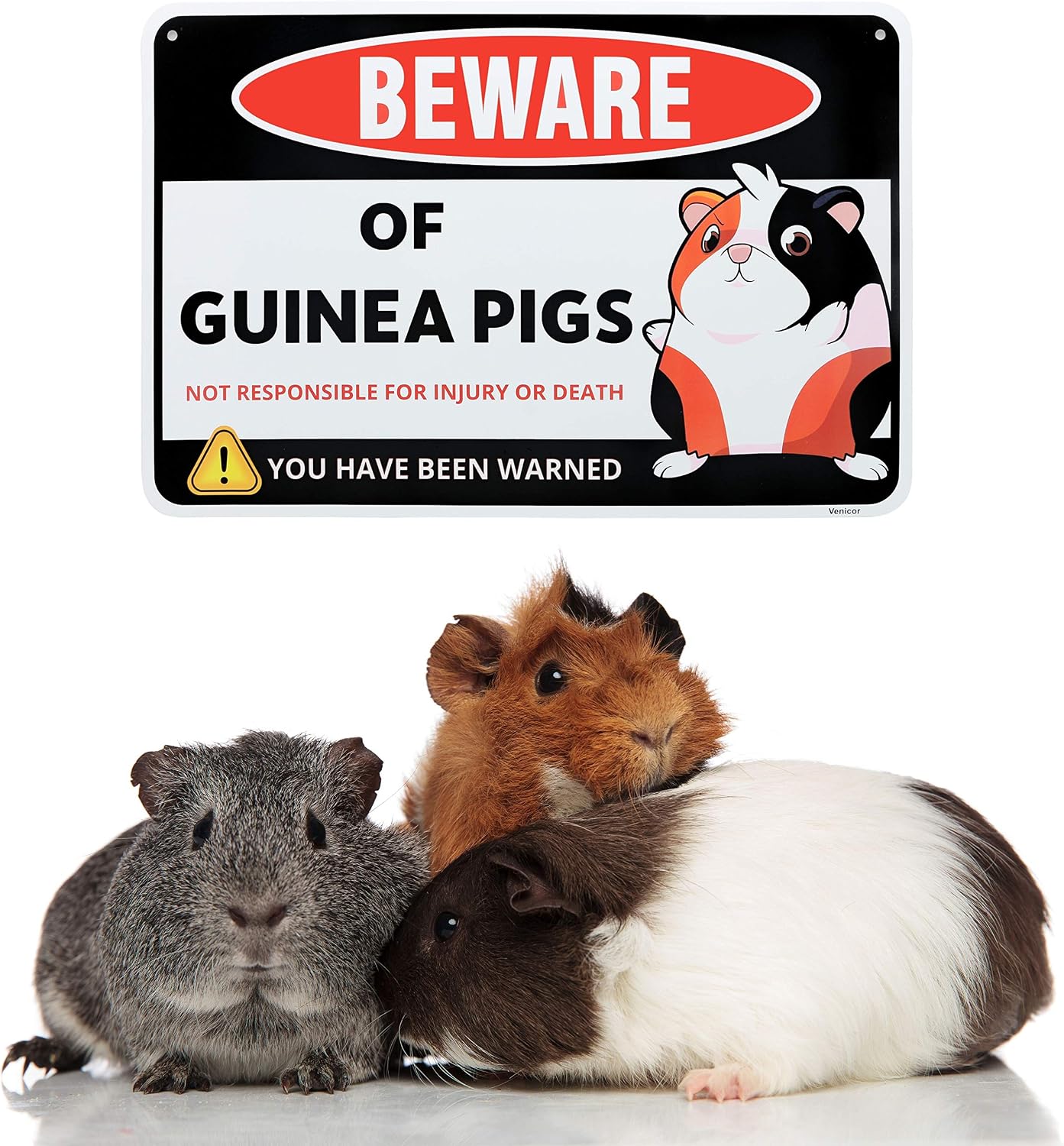 Venicor Guinea Pig Sign Decor - 8 x 12 Inches - Aluminum - Guinea Pig Gifts for Guinea Pig Lovers - Cage Accessories Toys Stickers Stuff image 4