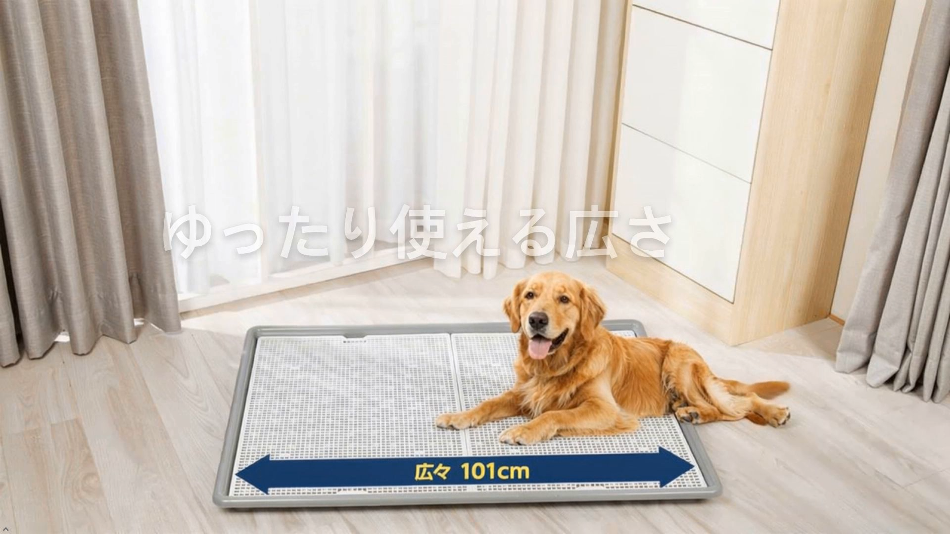 Amazon | 犬 トイレ トレー スーパーワイド 大型犬 特大 1020 x 710 x