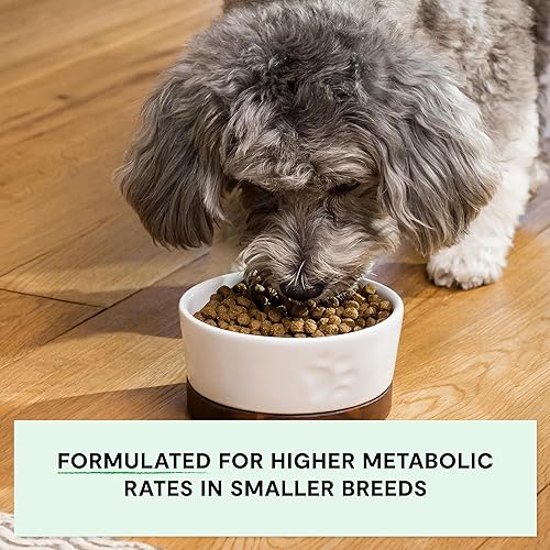 Miniatura 3 de Open Farm - Receta para perros de raza pequeña sin granos, 11 libras