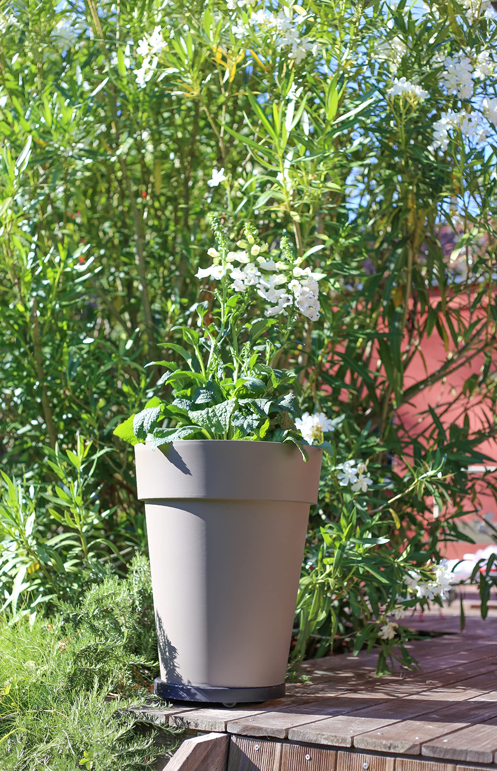 EDA 010940 - Soporte Maceta, 5 Ruedas 30 cm.