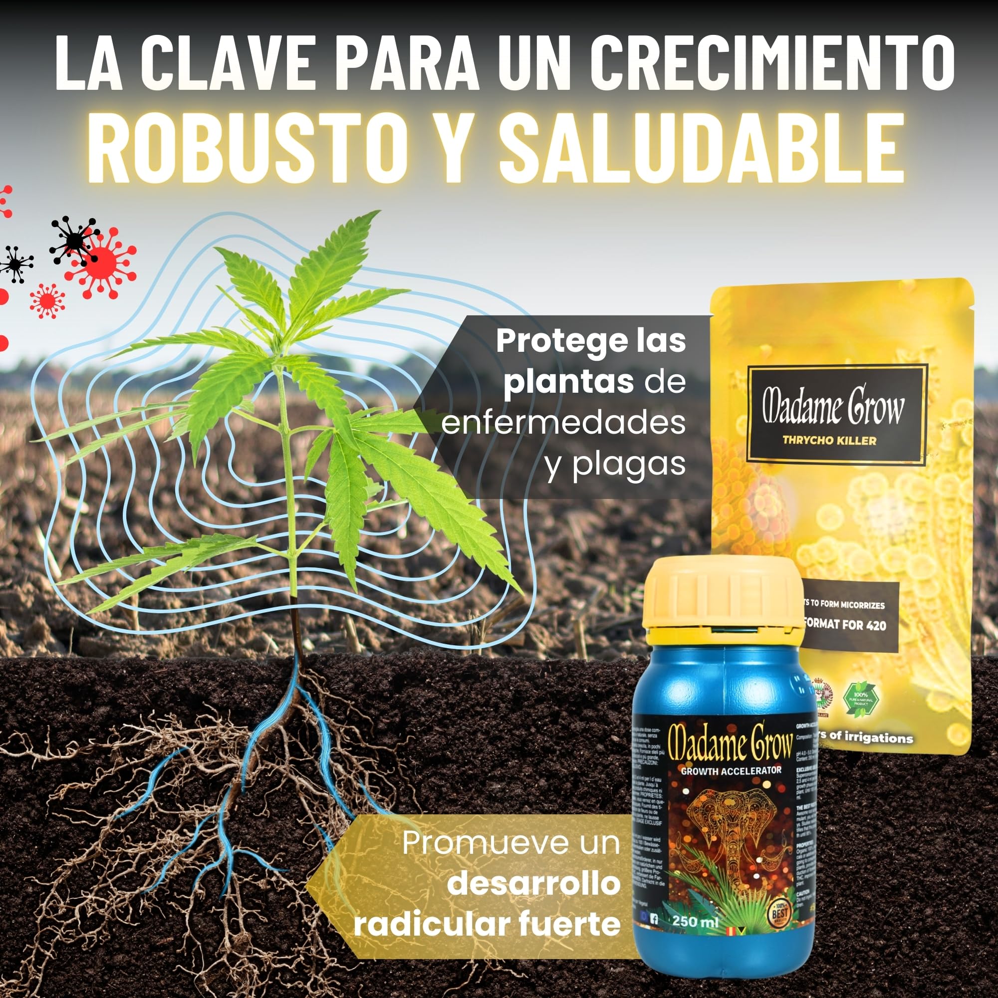 MADAME GROW Fertilizante 420 Plantas Verdes - Fertilizante para plantas verdes - Fertilizante líquido para plantas - Fertilizante universal para el crecimiento(KIT PREMIUM 9 6x250ml +30g + 50g + 100g)