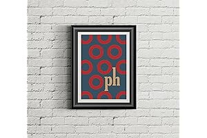 Limited Edition PHISH Inspired 11 x 14 Poster Print