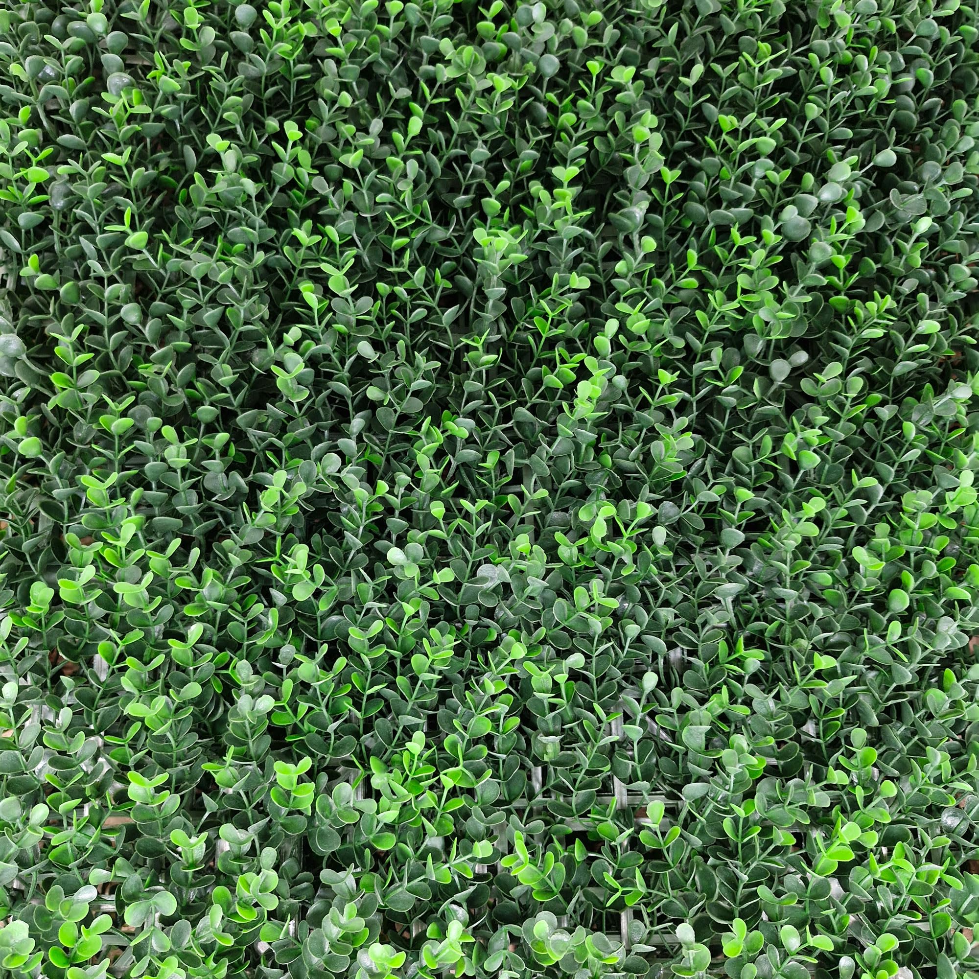 Pannello Siepe Sintetica TENAX 50x100cm - Tipo Bosso Lilla Per Giardino Verticale - Foto 3