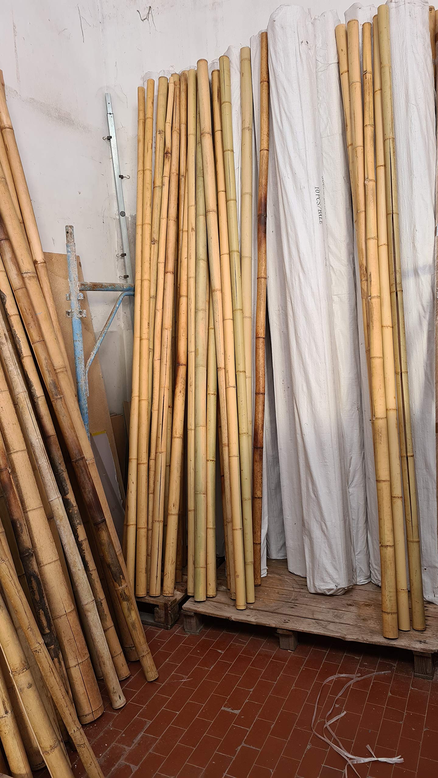 Canna di Bambù Gigante MOSO (CM 300 Ø 4/6) - SECONDA SCELTA - Bastone Naturale Decorativo per Arredo Casa, Giardino, Recinzione, Fai-da-Te e Design Outdoor Indoor