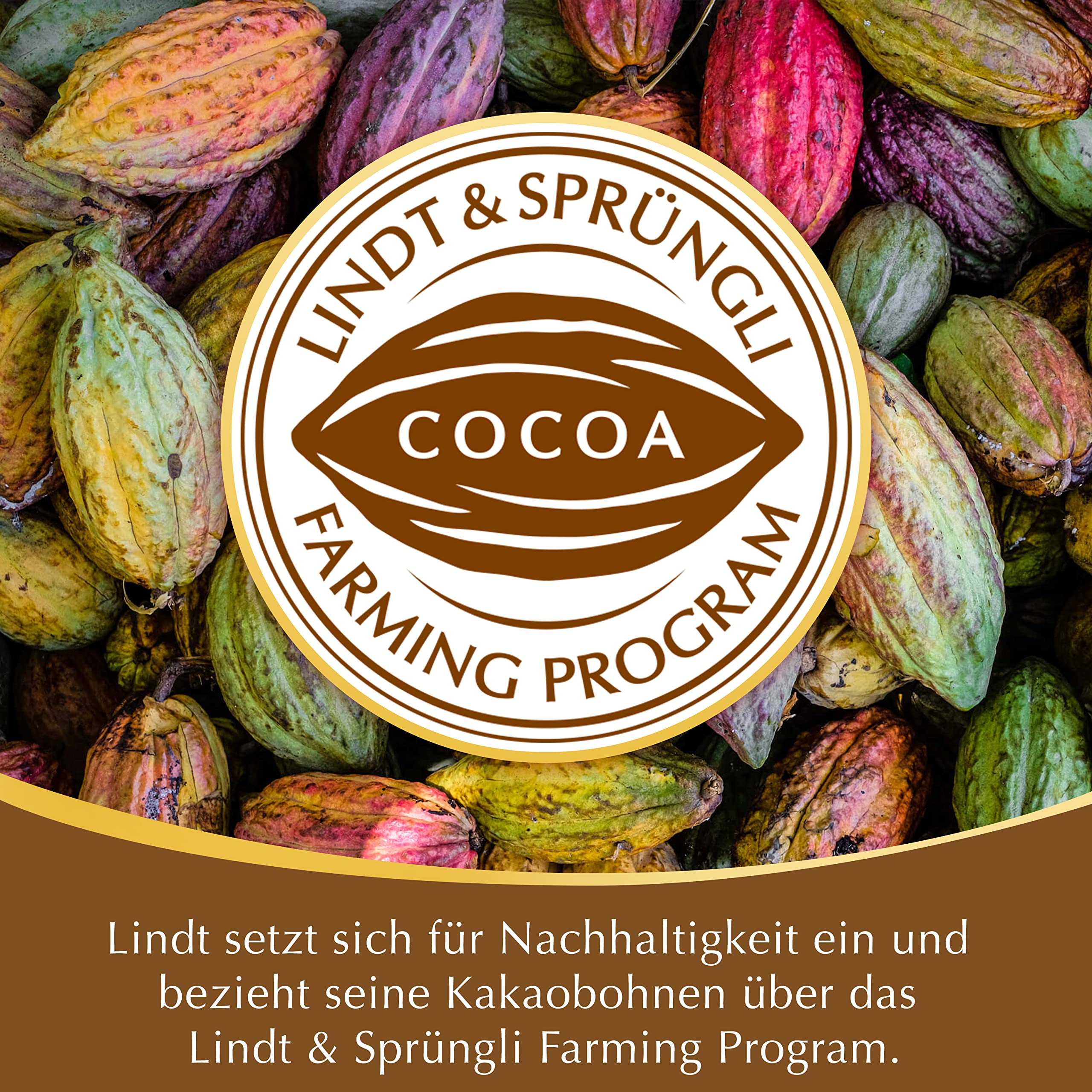 Lindt Mini Pralinés biały, biała czekolada, 32 pralinki, mały prezent z czekolady, 160 g