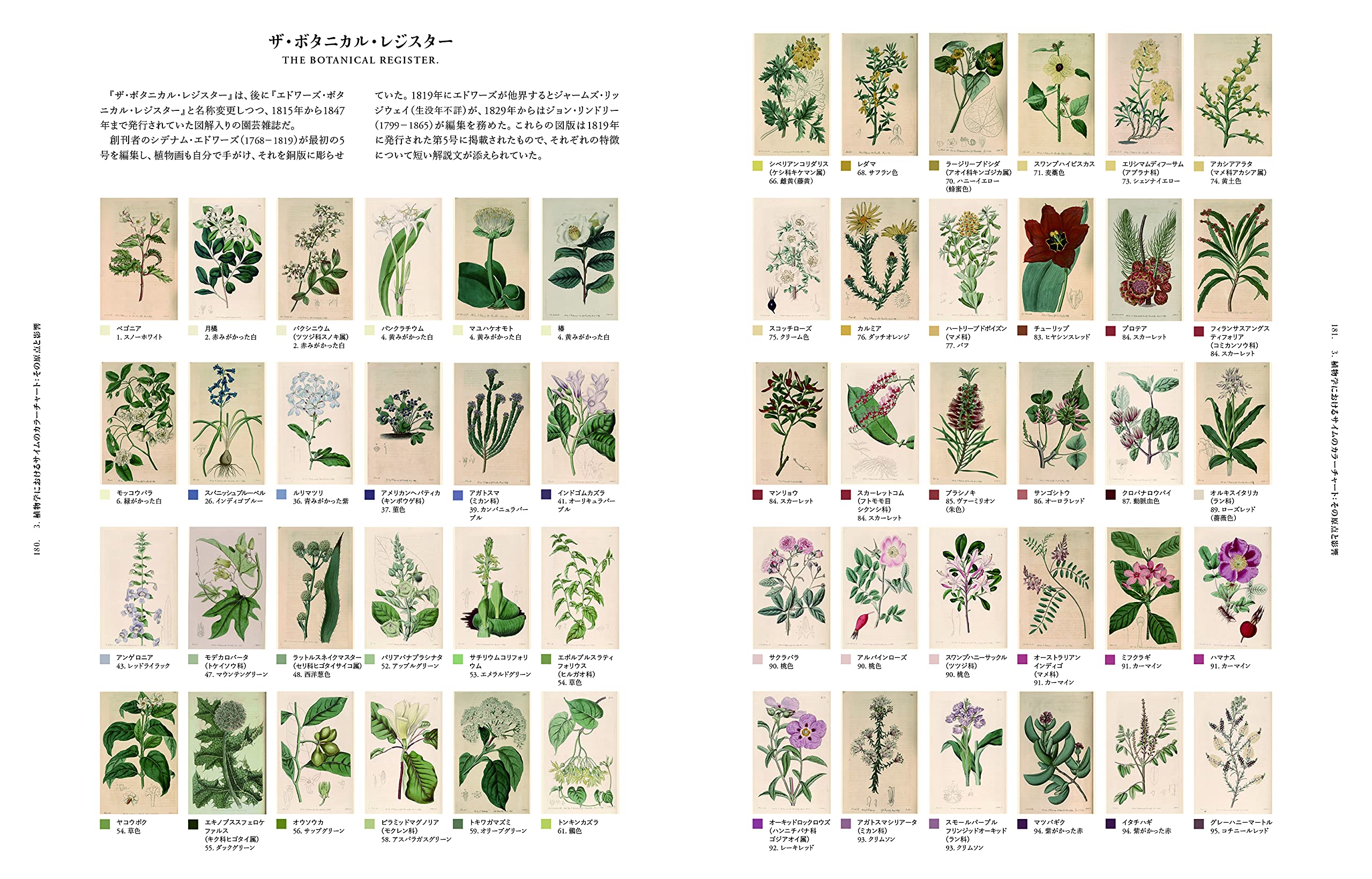 美しい自然の色図鑑 1000点の博物画でひもとくカラーチャートの歴史 石井 博 宮脇 律郎 パトリック バティ 石田 亜矢子 本 通販 Amazon 美しい自然の色図鑑 1000点の博物画でひもとくカラーチャートの歴史 石井 博 宮脇 律郎 パトリック バティ 石田 亜矢子 本 通販 Amazon