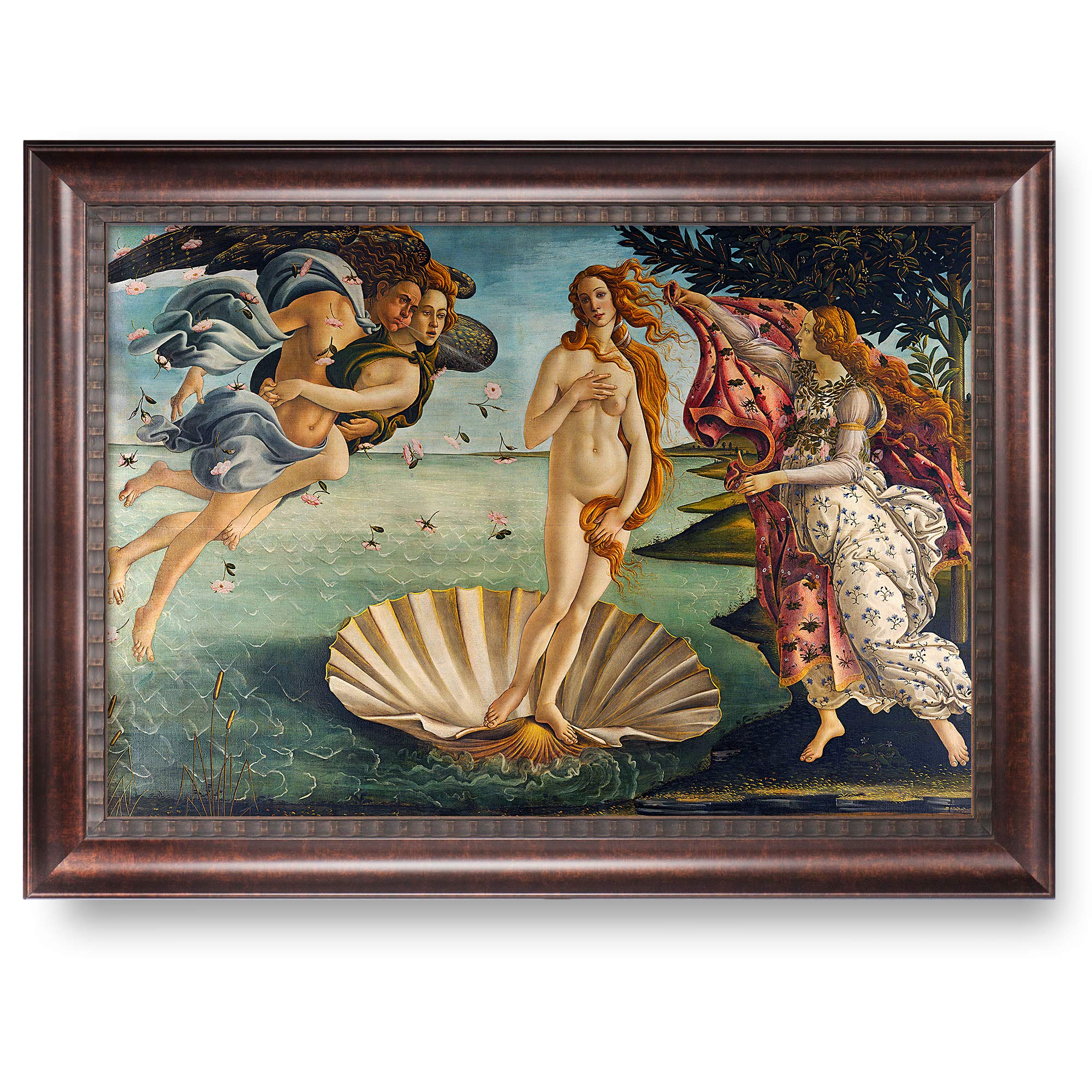 Amazon.com: The Birth of Venus by Sandro Botticelli,Framed Size