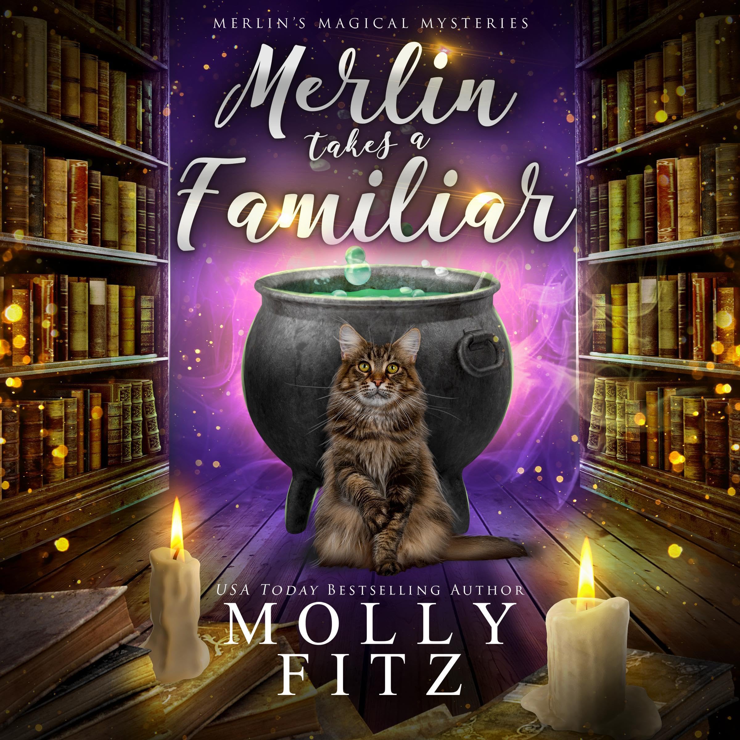 Cover art for Merlin Takes a Familiar