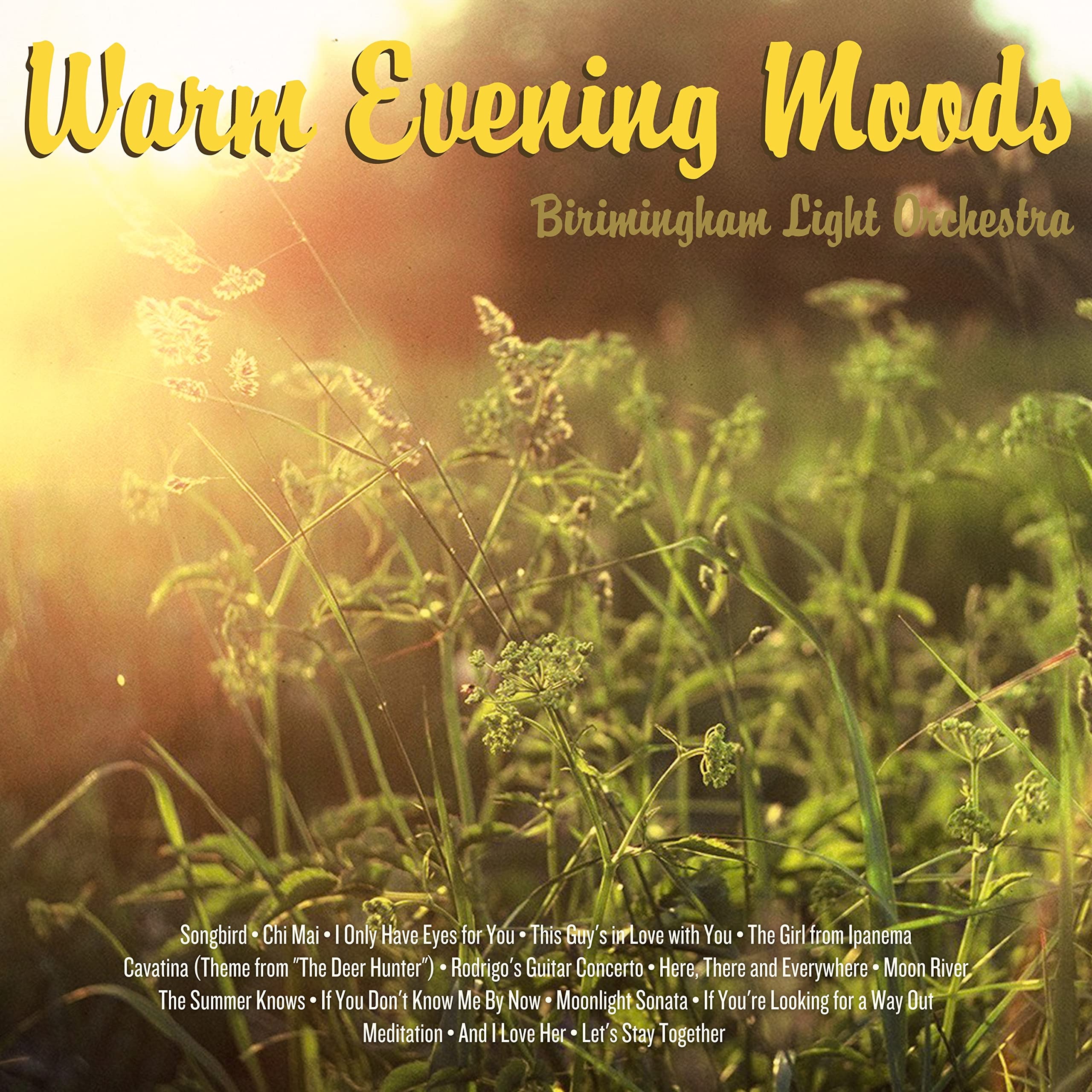 Birmingham Light Orchestra