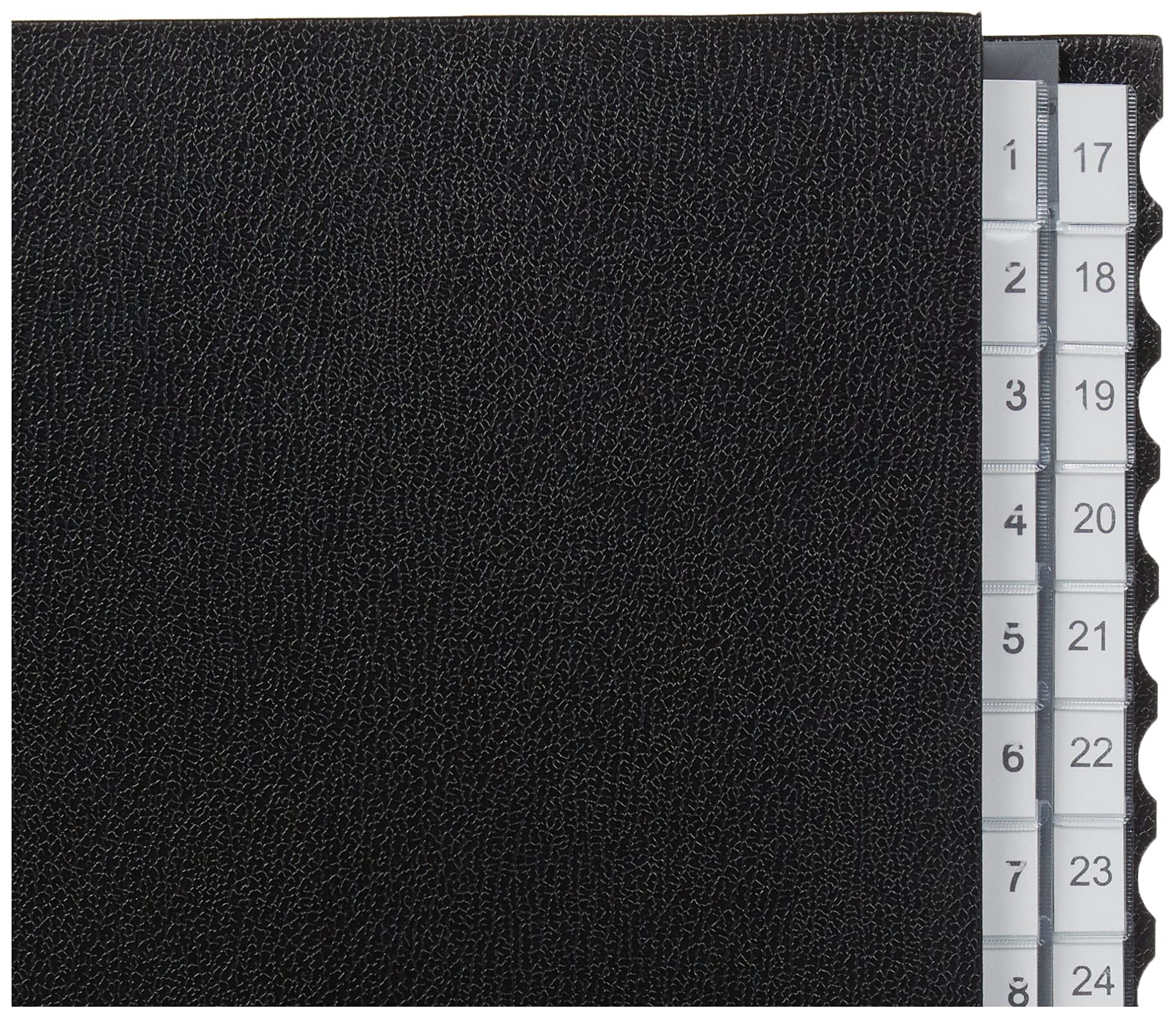 Leitz 59310095 segregator 1-31, 32 kieszenie, PP, czarny