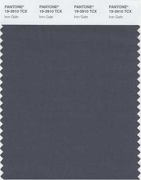 Pantone 19-3910 TCX Smart Color Swatch Card, Iron Gate by Pantone