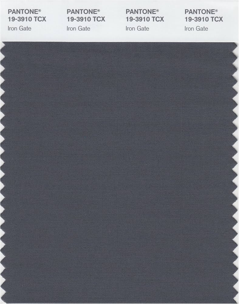 Amazon.co.jp: Pantone 19-3910 TCX Smart Color Swatch Card, Iron