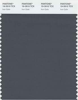 Amazon.com: PANTONE Smart 19-3910X Color Swatch Card, IronGate