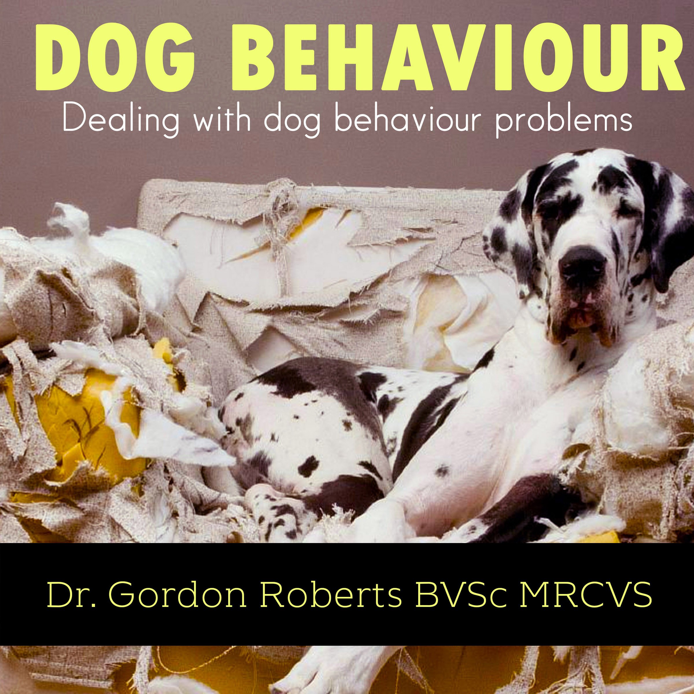 Dog Behaviour