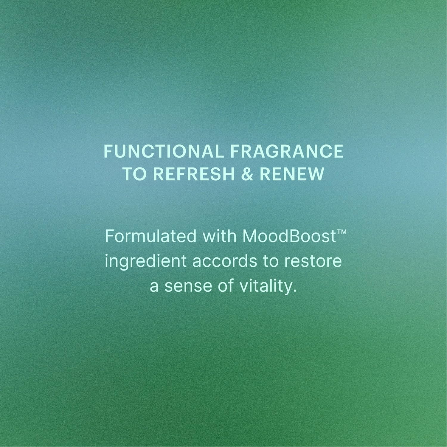 Aera The Emerald Spring Home Fragrance Scent Refill - Notes of Peppermint and Rosemary - Works with The Aera Diffuser