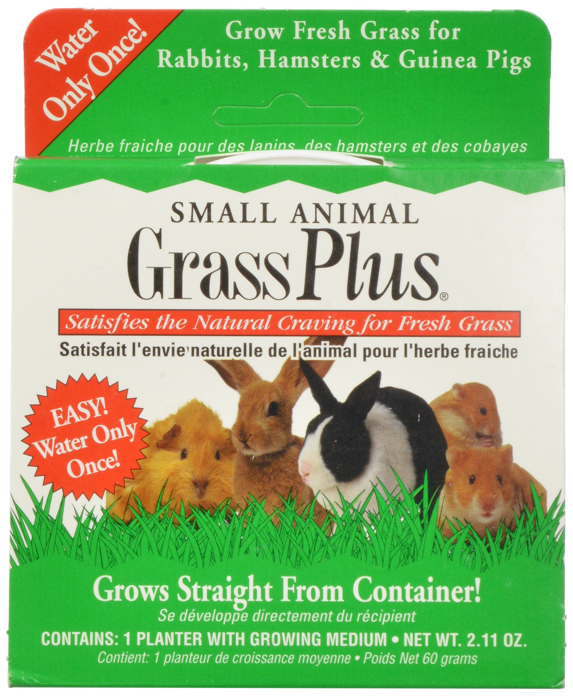 Miraclecorp/Gimborn Small Animal Grass Plus, 60-Gram